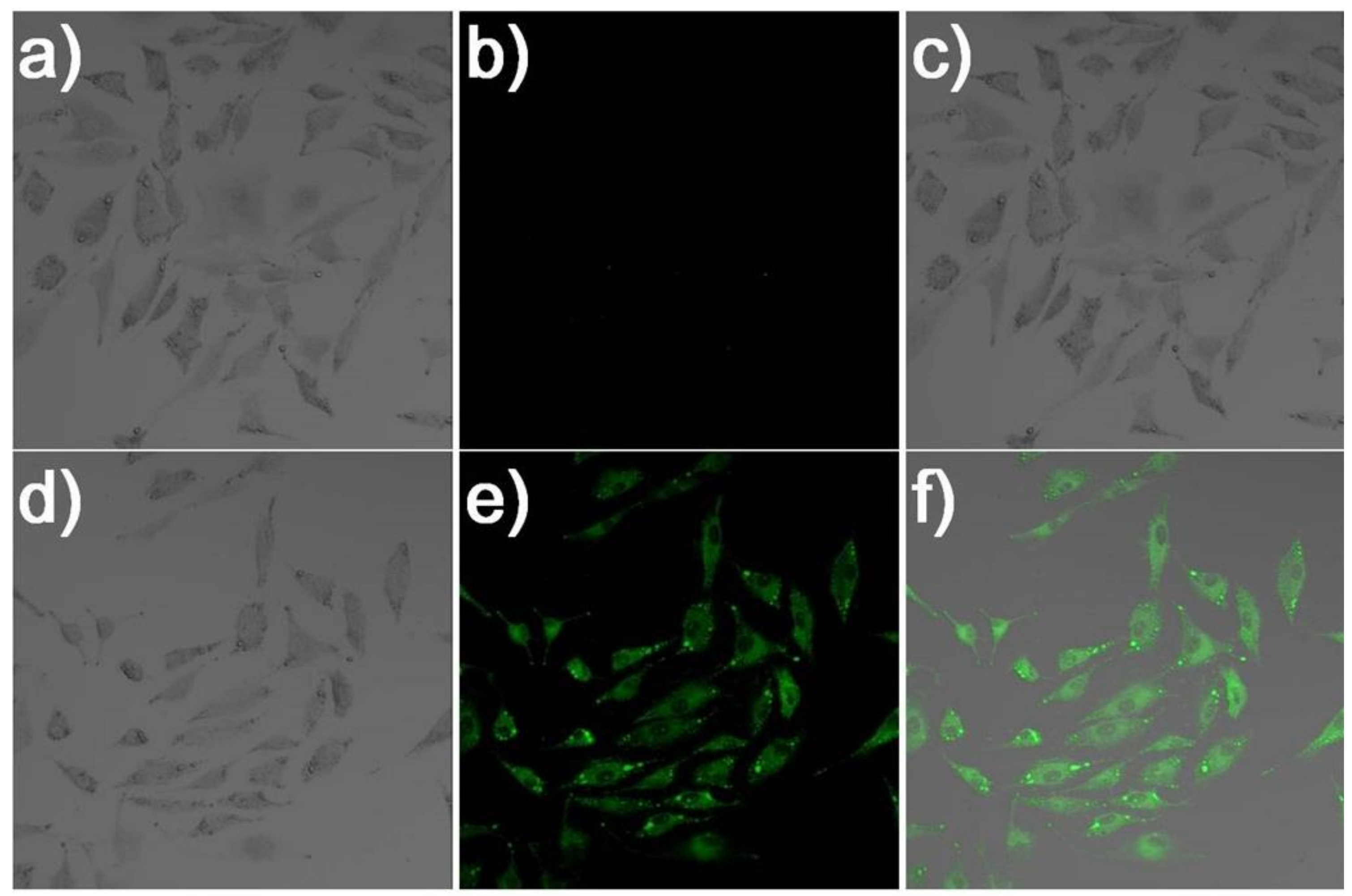 Molecules 24 00411 g006 Molecules 24 00411 g006