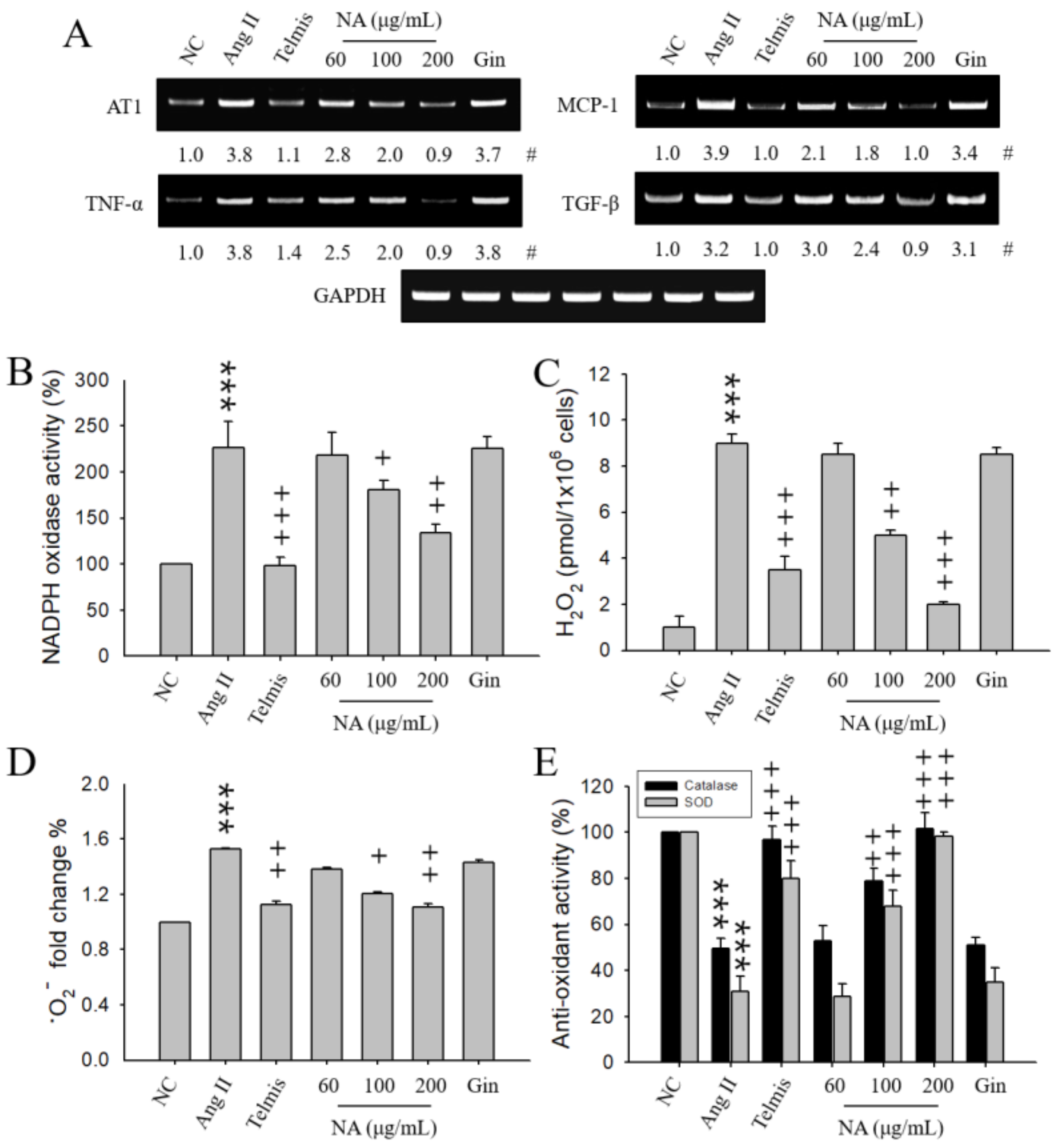 Molecules 24 00414 g001
