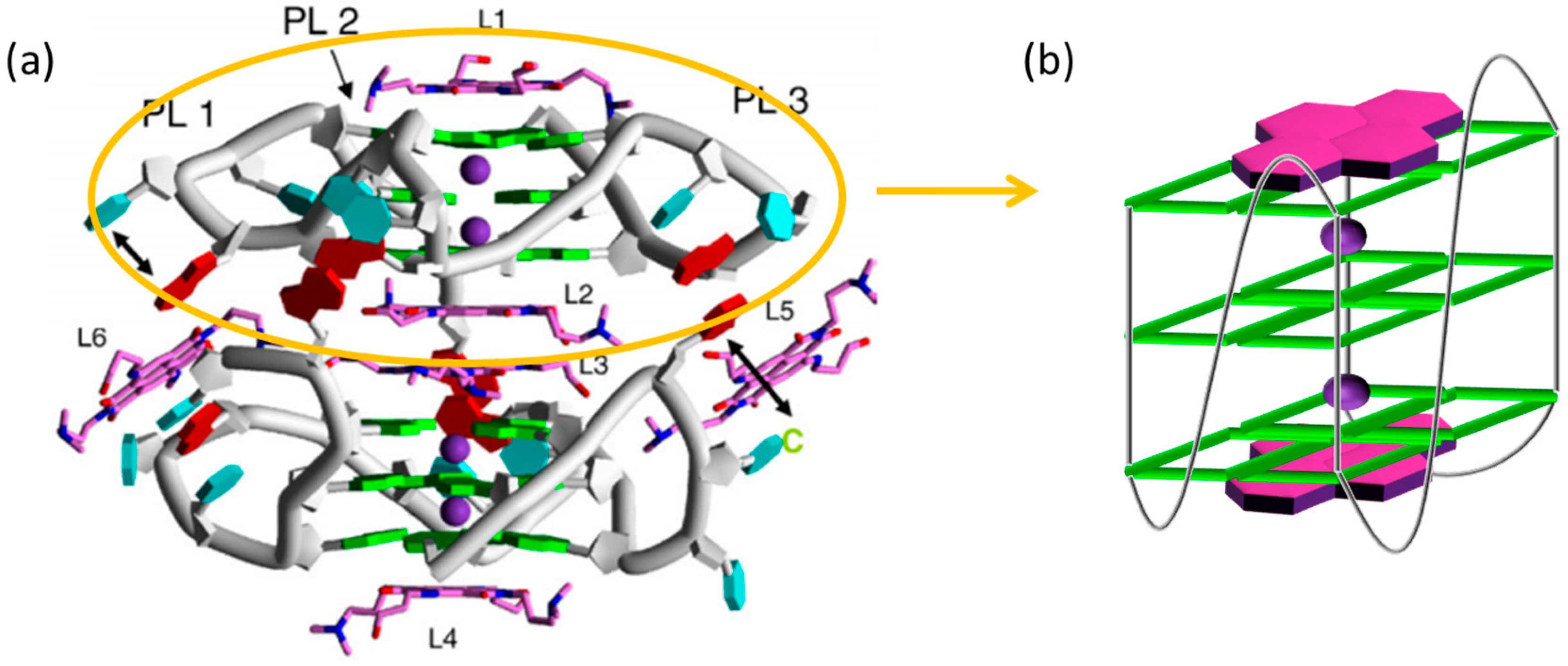 Molecules 24 00426 g002