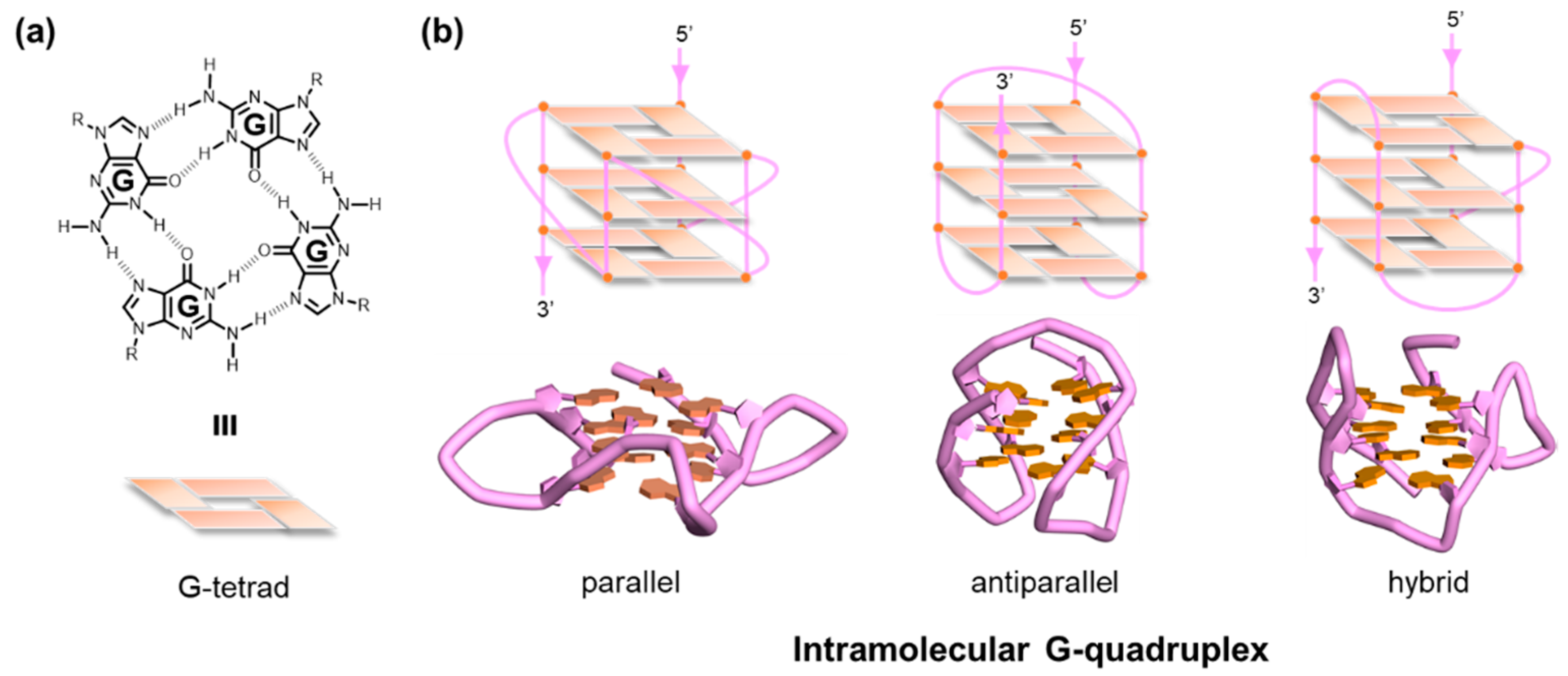 Molecules 24 00429 g001