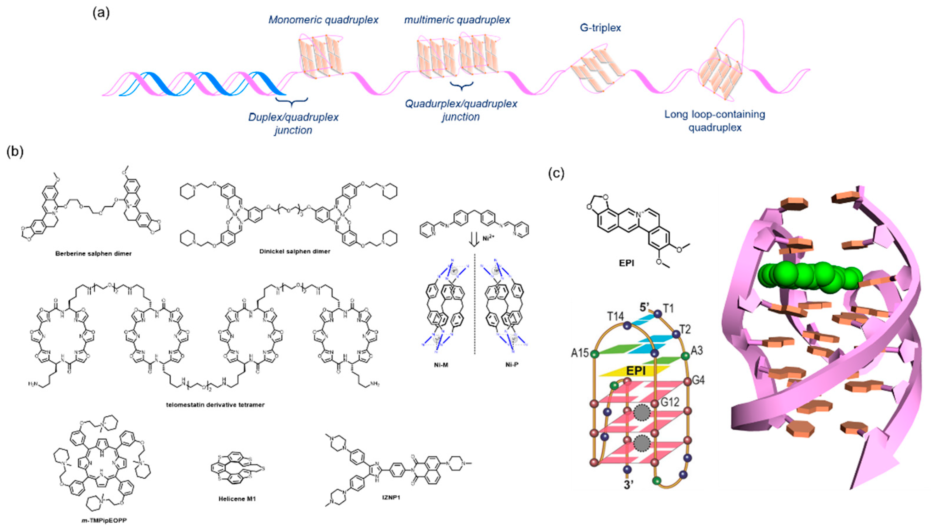 Molecules 24 00429 g002