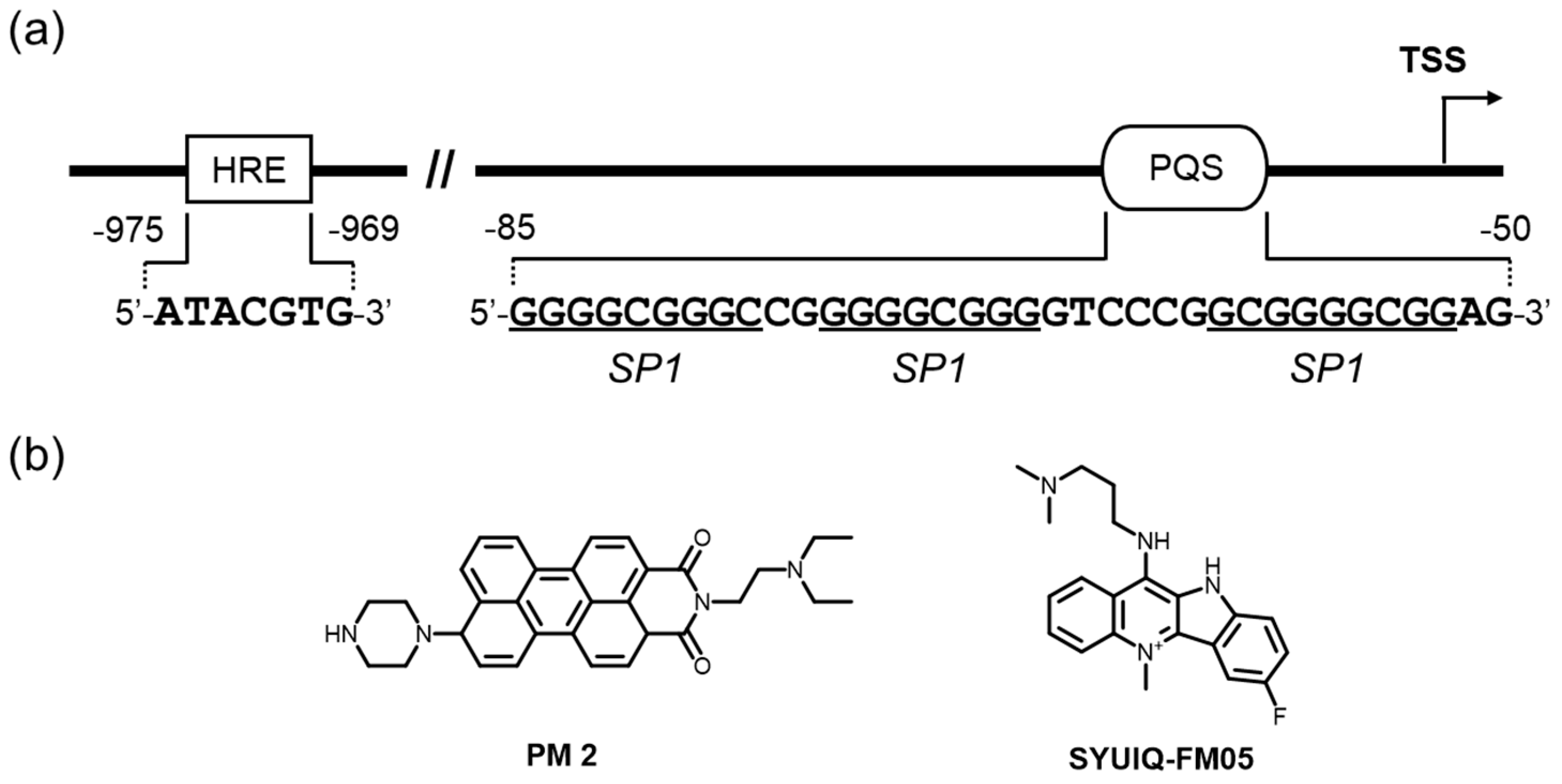 Molecules 24 00429 g004