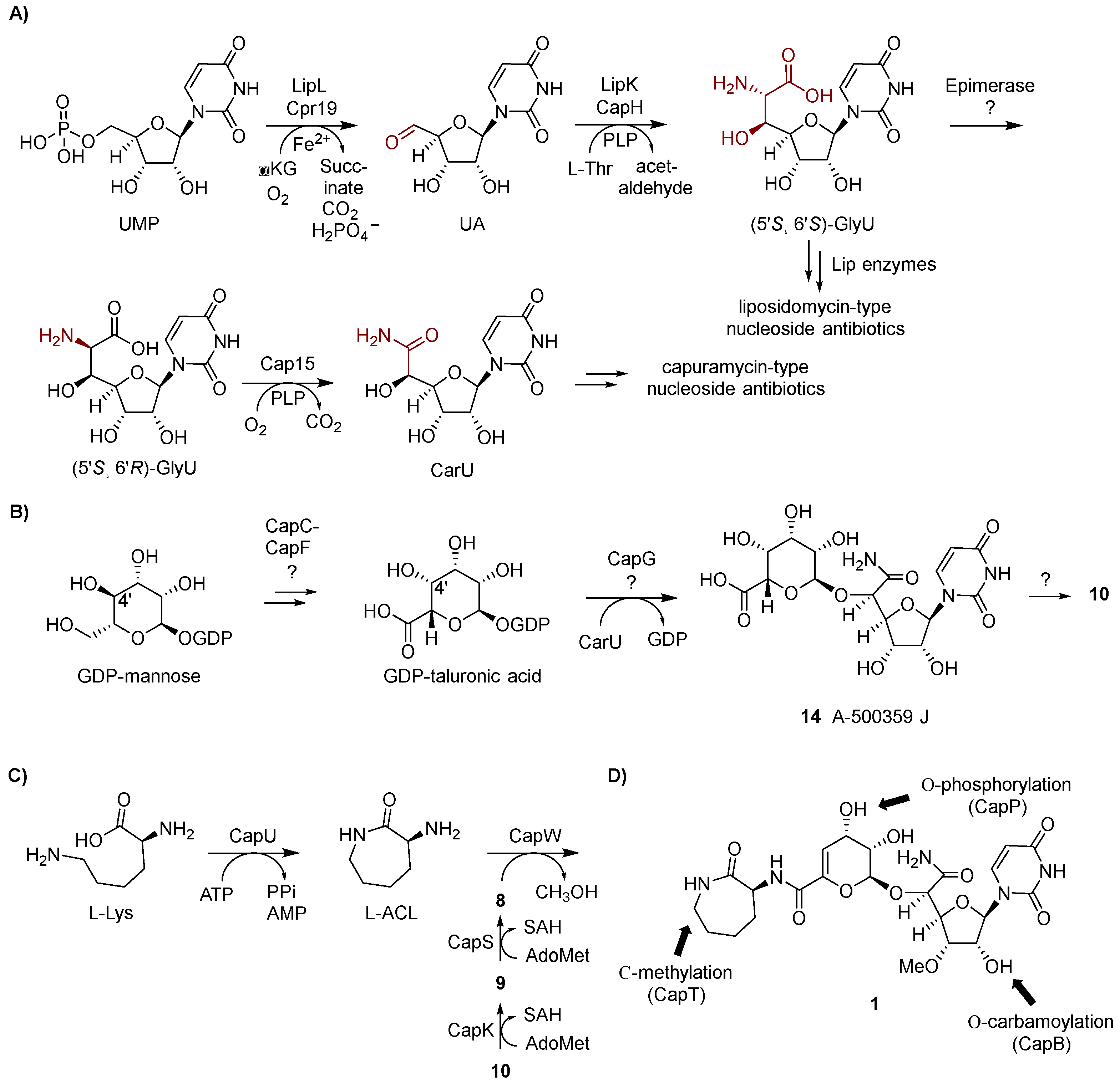 Molecules 24 00433 g005