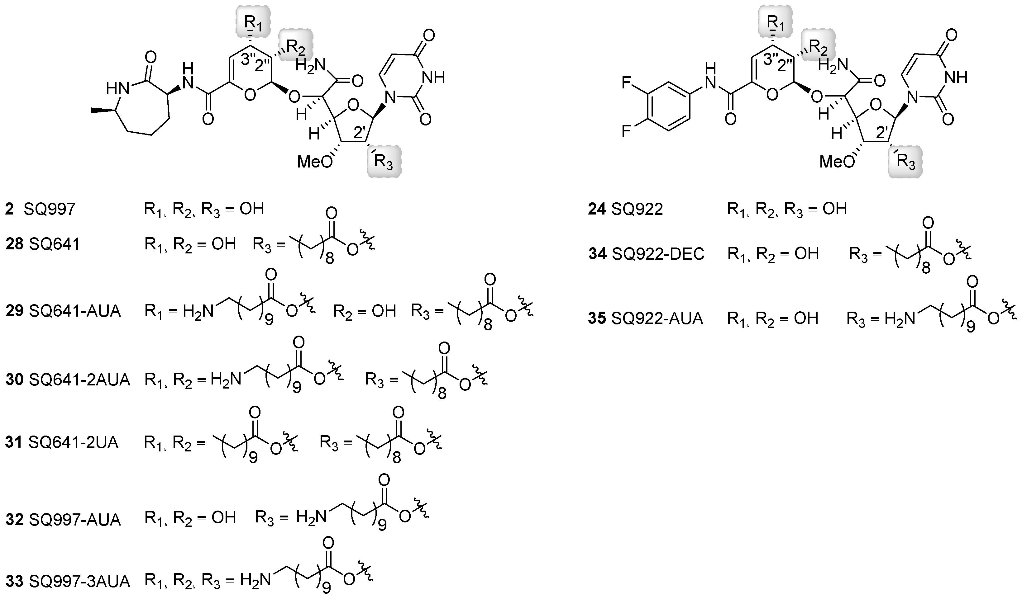 Molecules 24 00433 g007