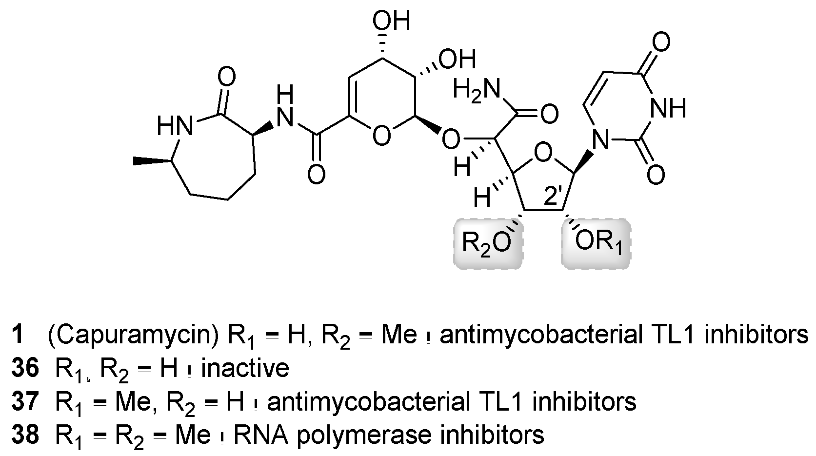 Molecules 24 00433 g008