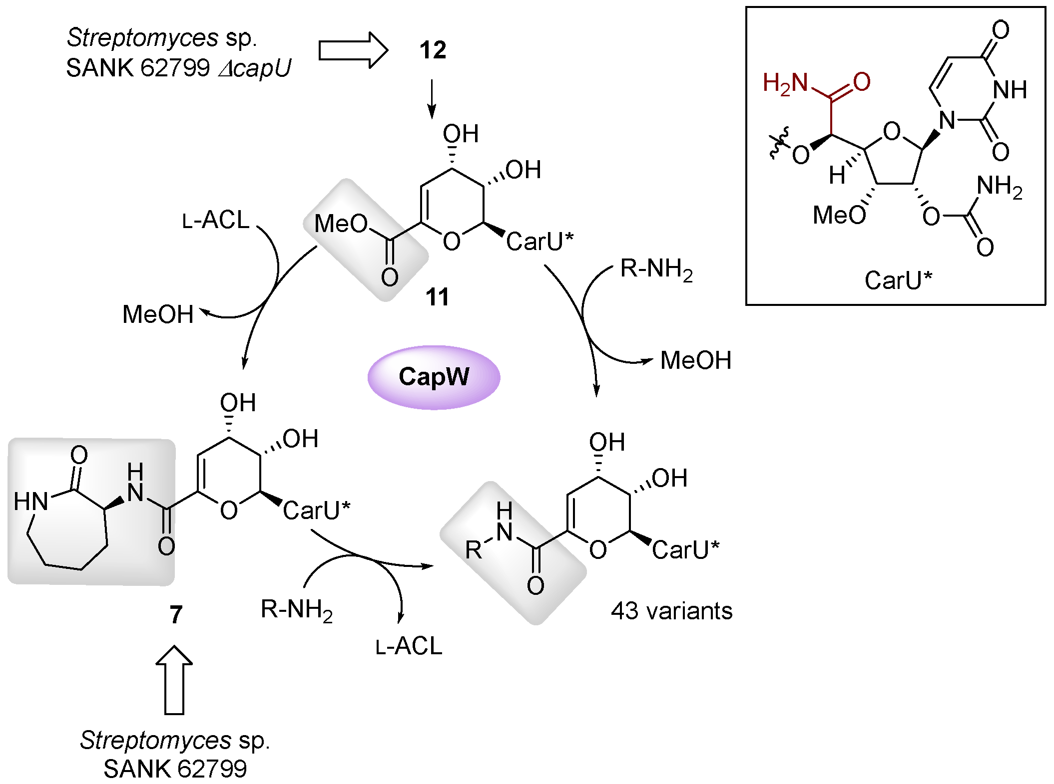 Molecules 24 00433 g009