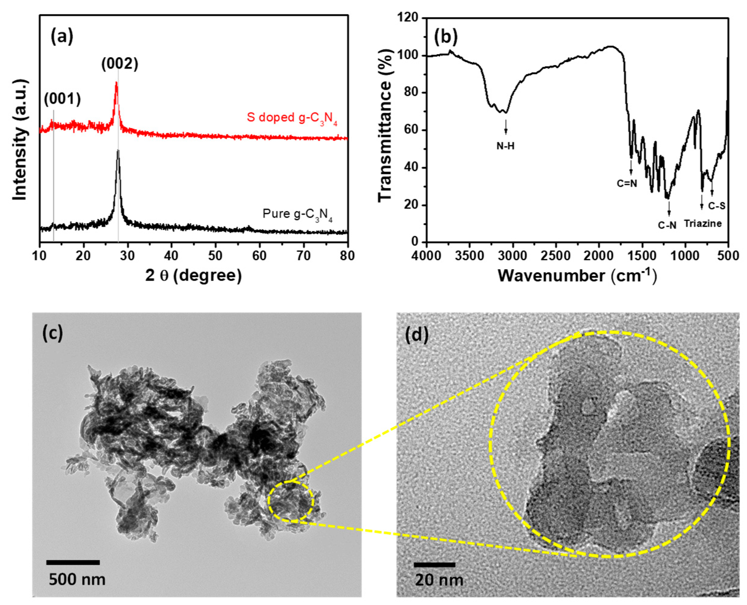 Molecules 24 00450 g001