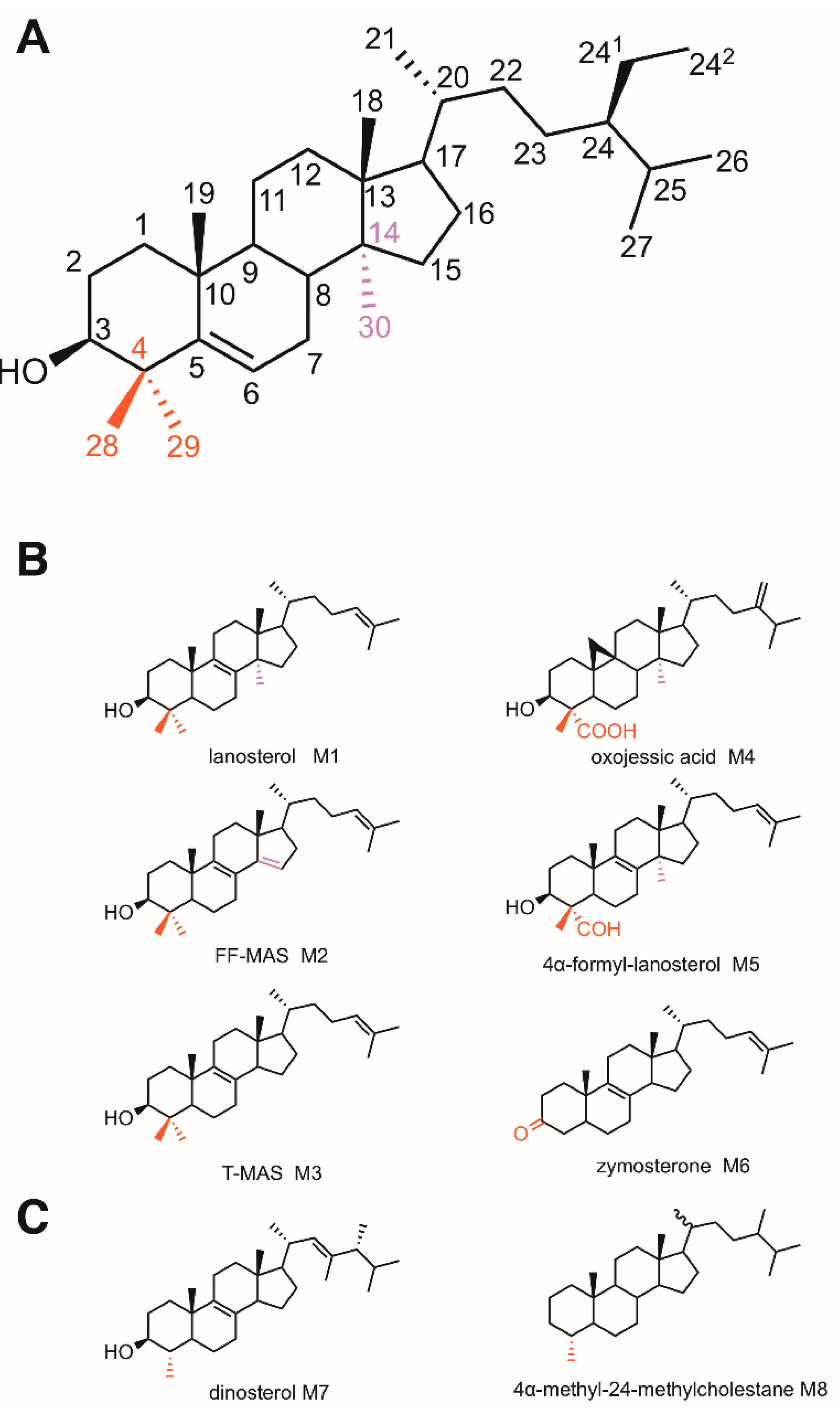 Molecules 24 00451 g001