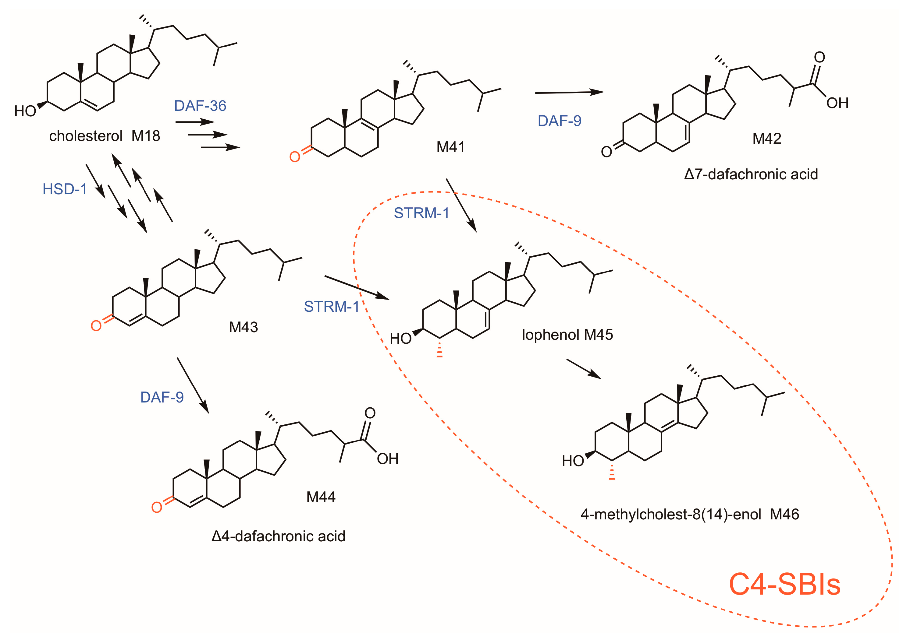 Molecules 24 00451 g003
