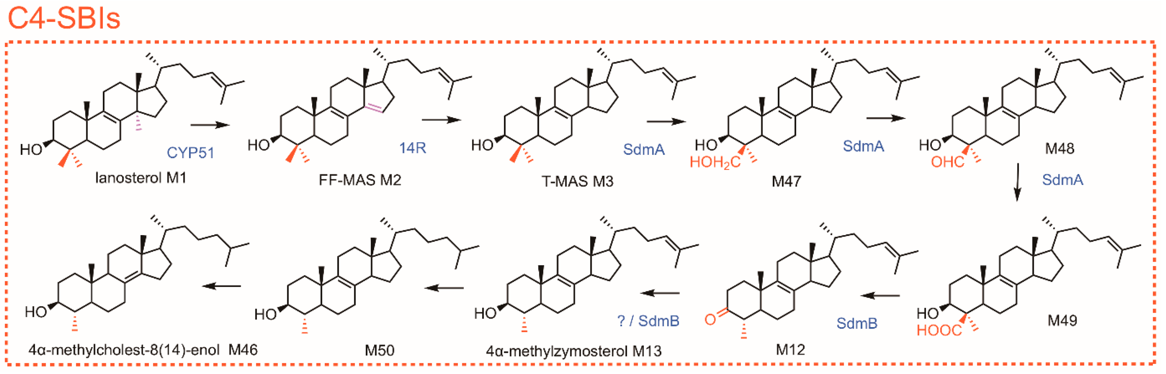 Molecules 24 00451 g004