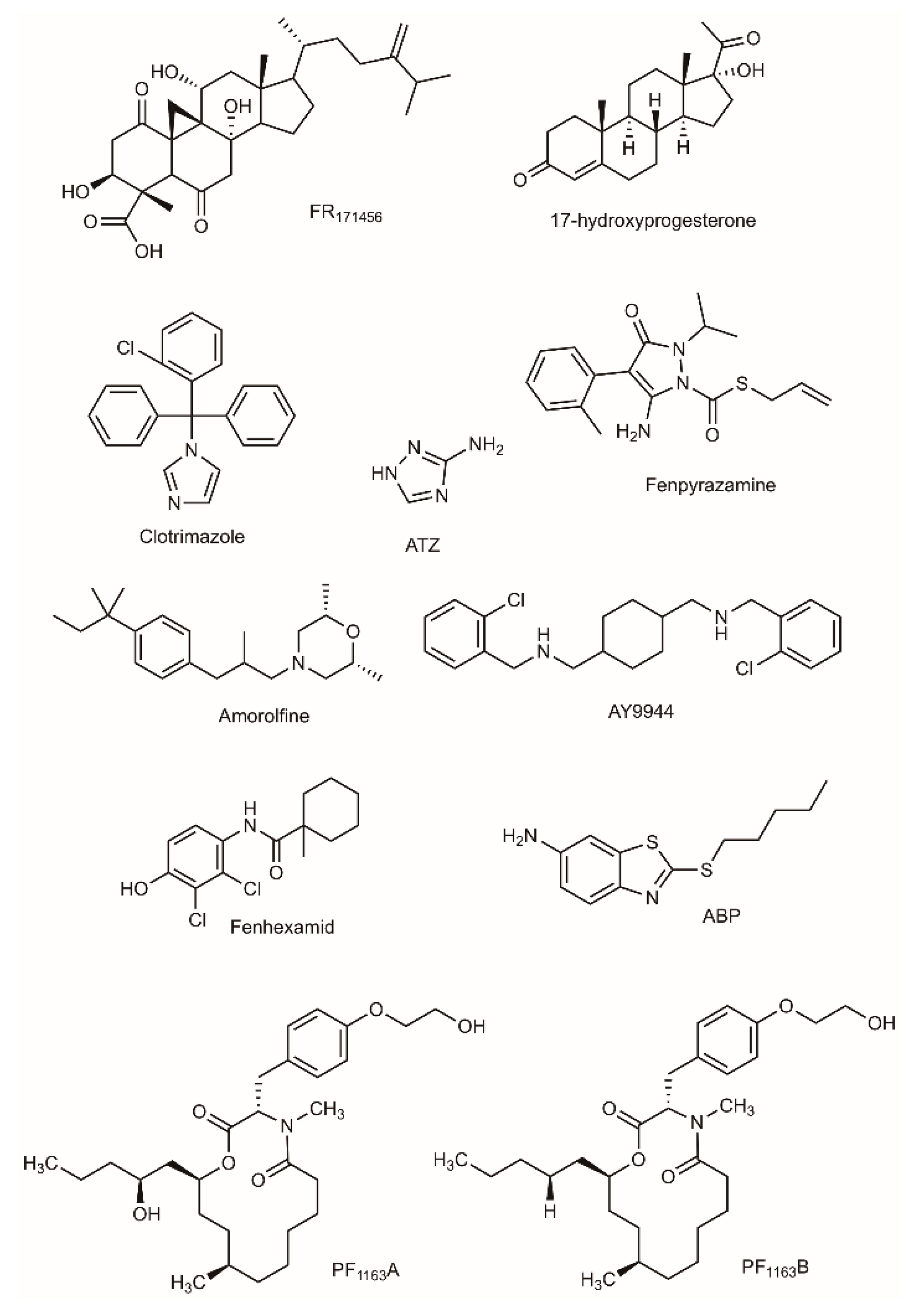Molecules 24 00451 g005