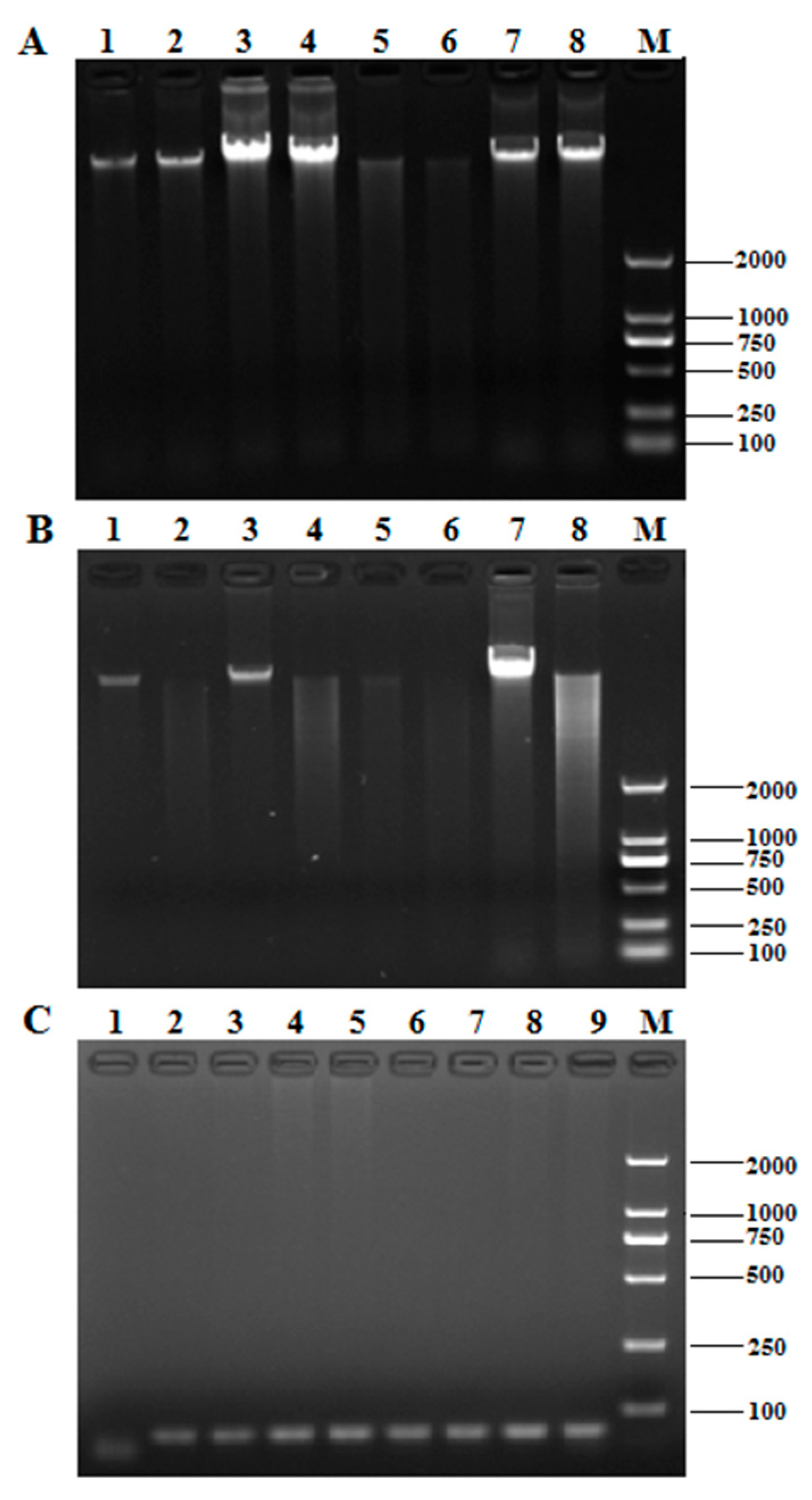 Molecules 24 00455 g001