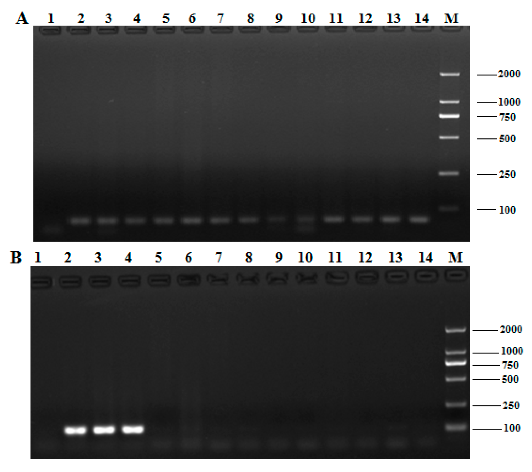 Molecules 24 00455 g002