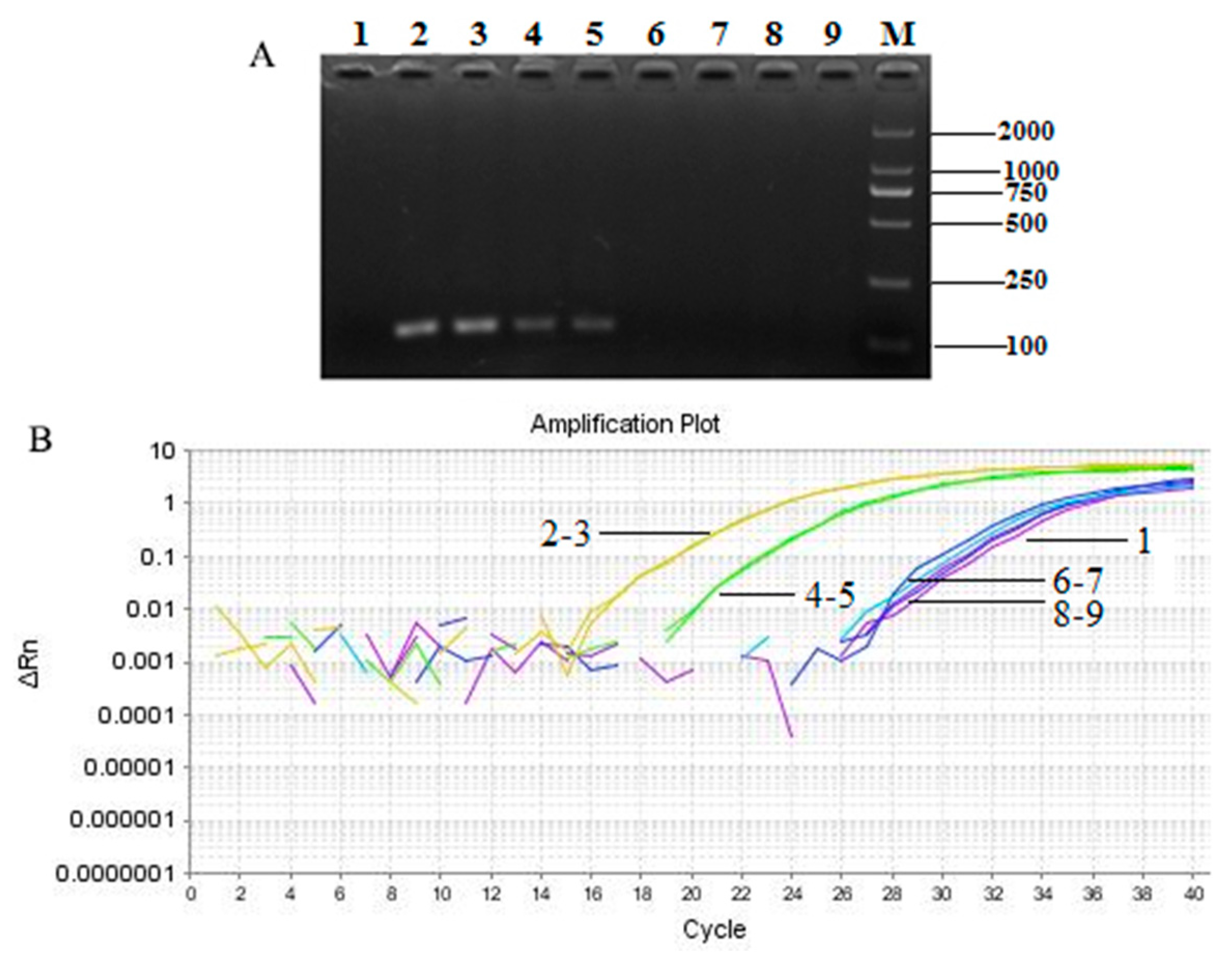 Molecules 24 00455 g006