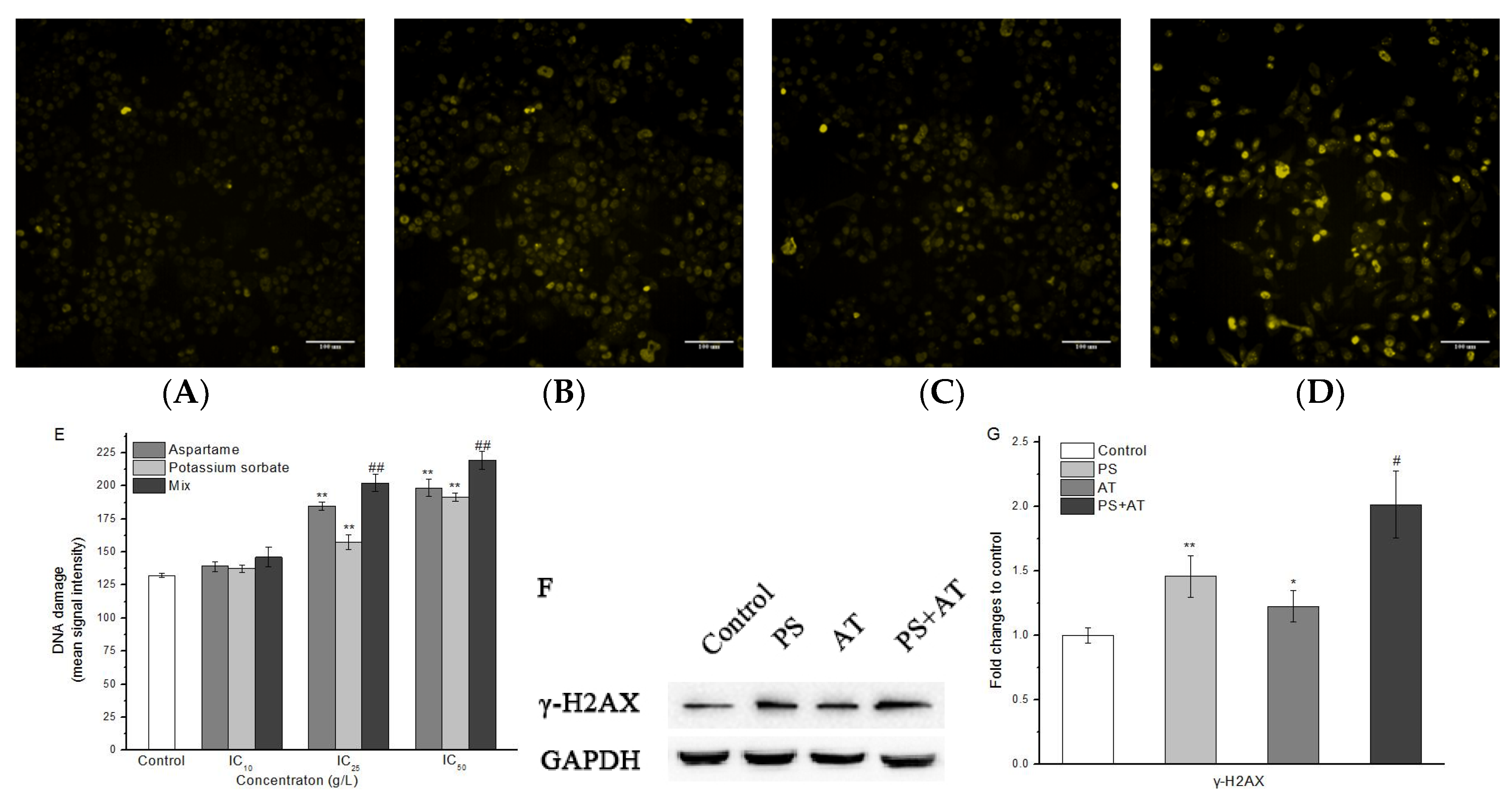 Molecules 24 00457 g005