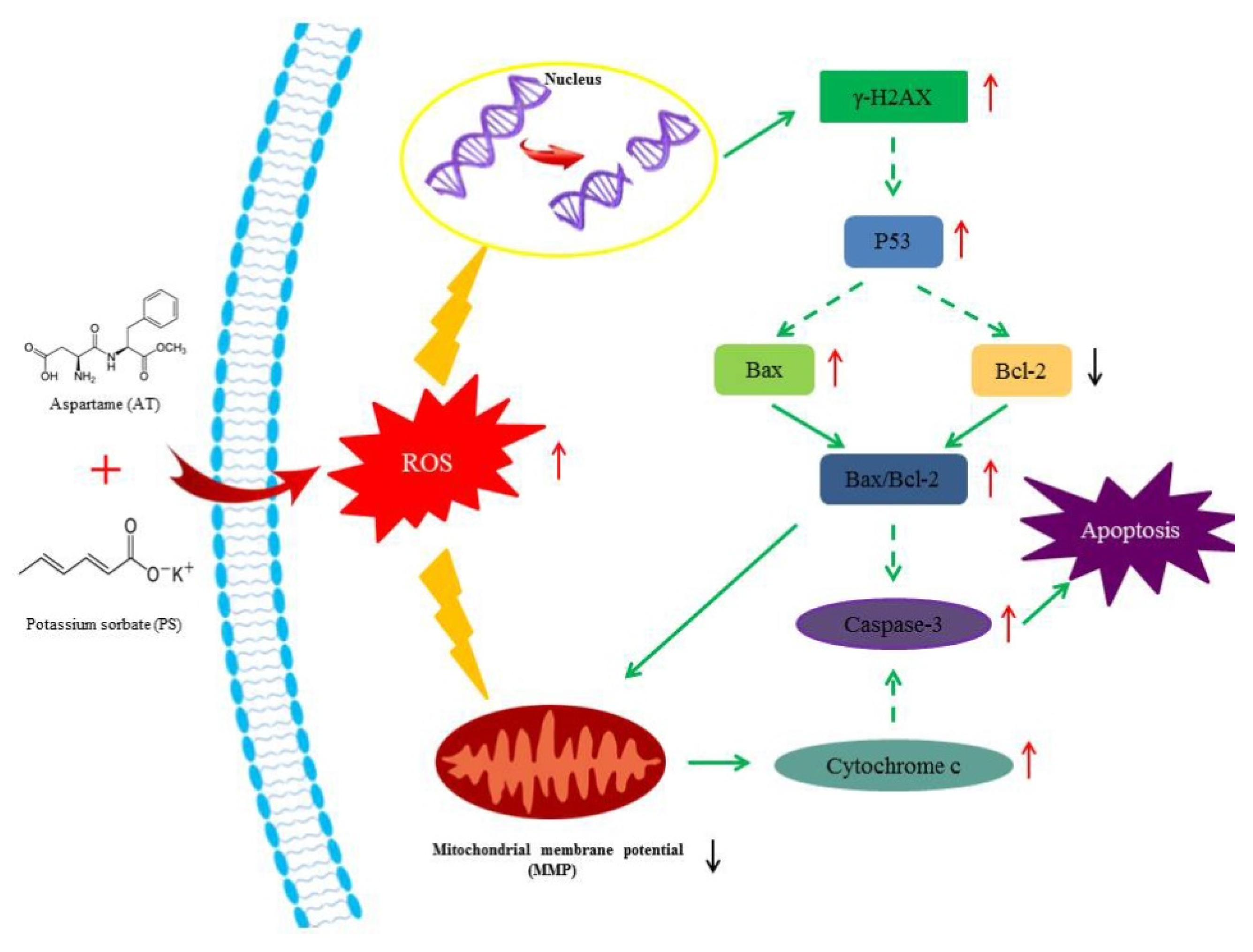 Molecules 24 00457 g007