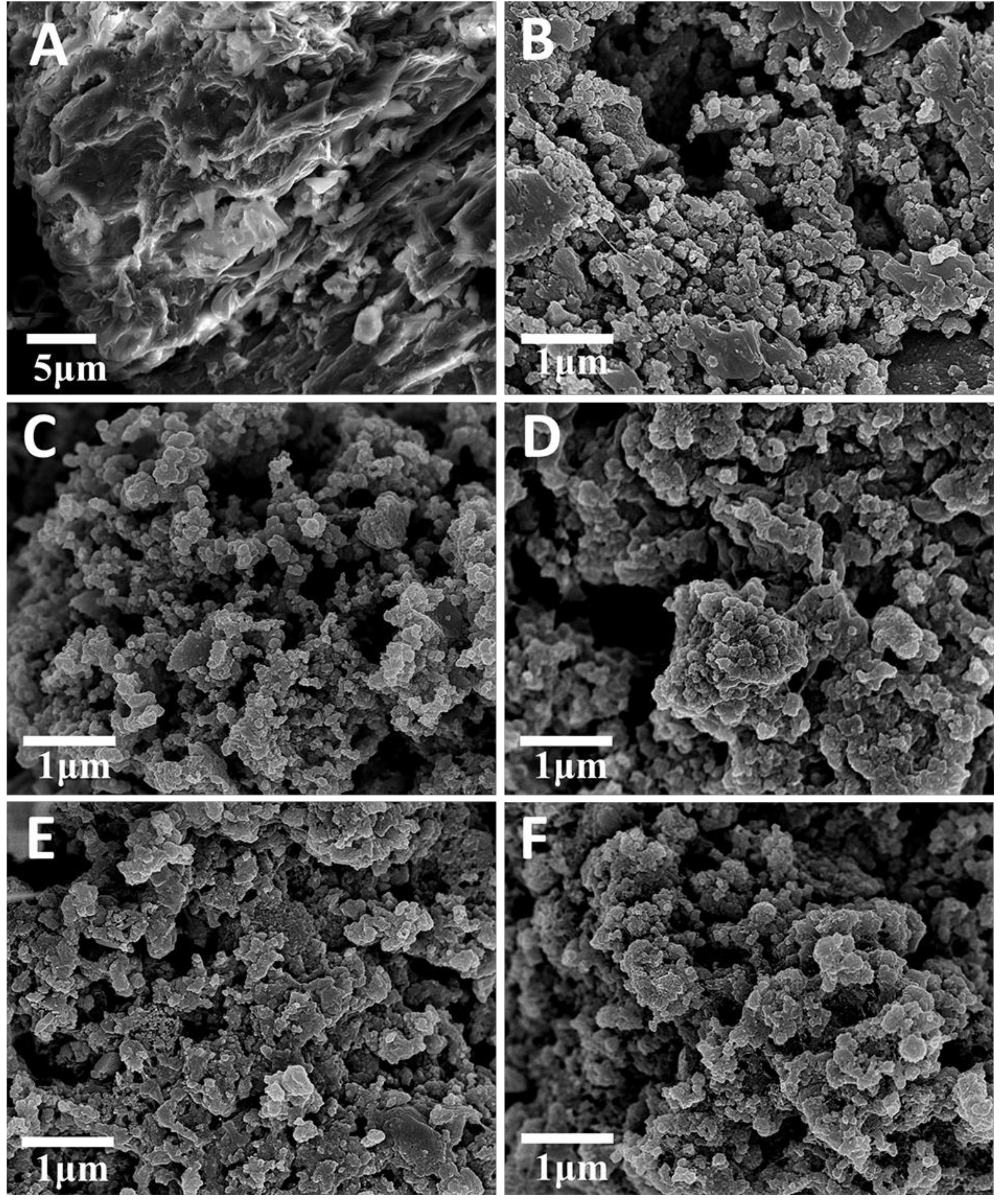Molecules 24 00469 g002