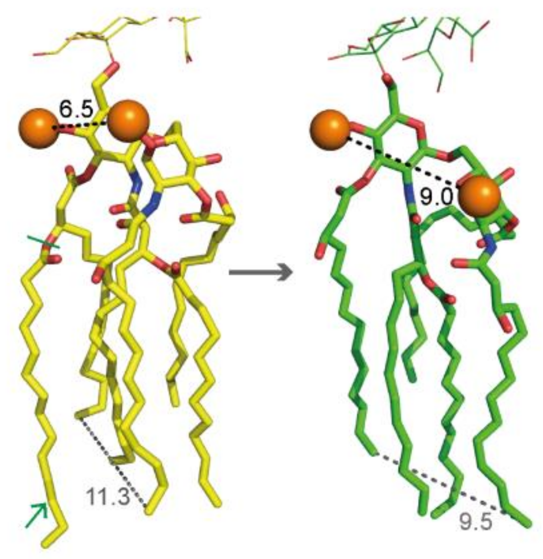 Molecules 24 00470 g003