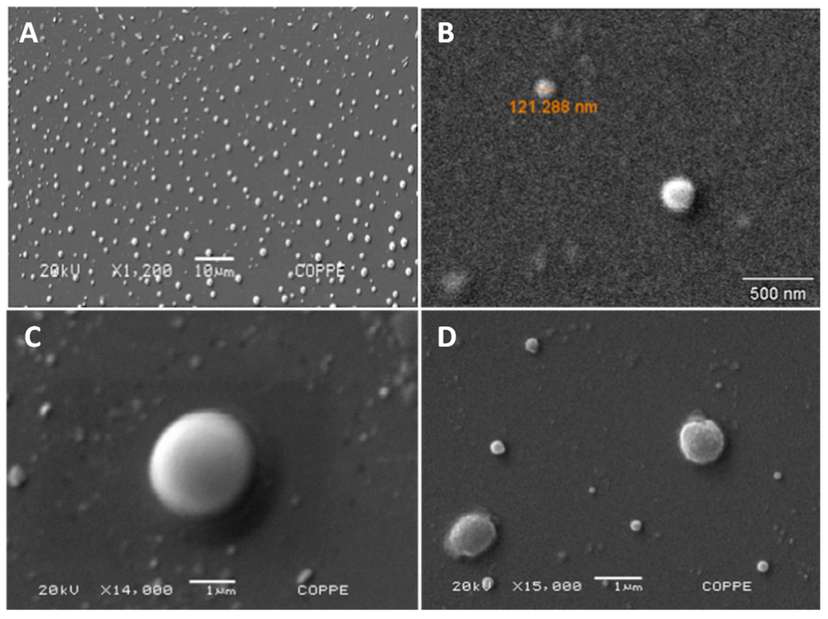 Molecules 24 00471 g001