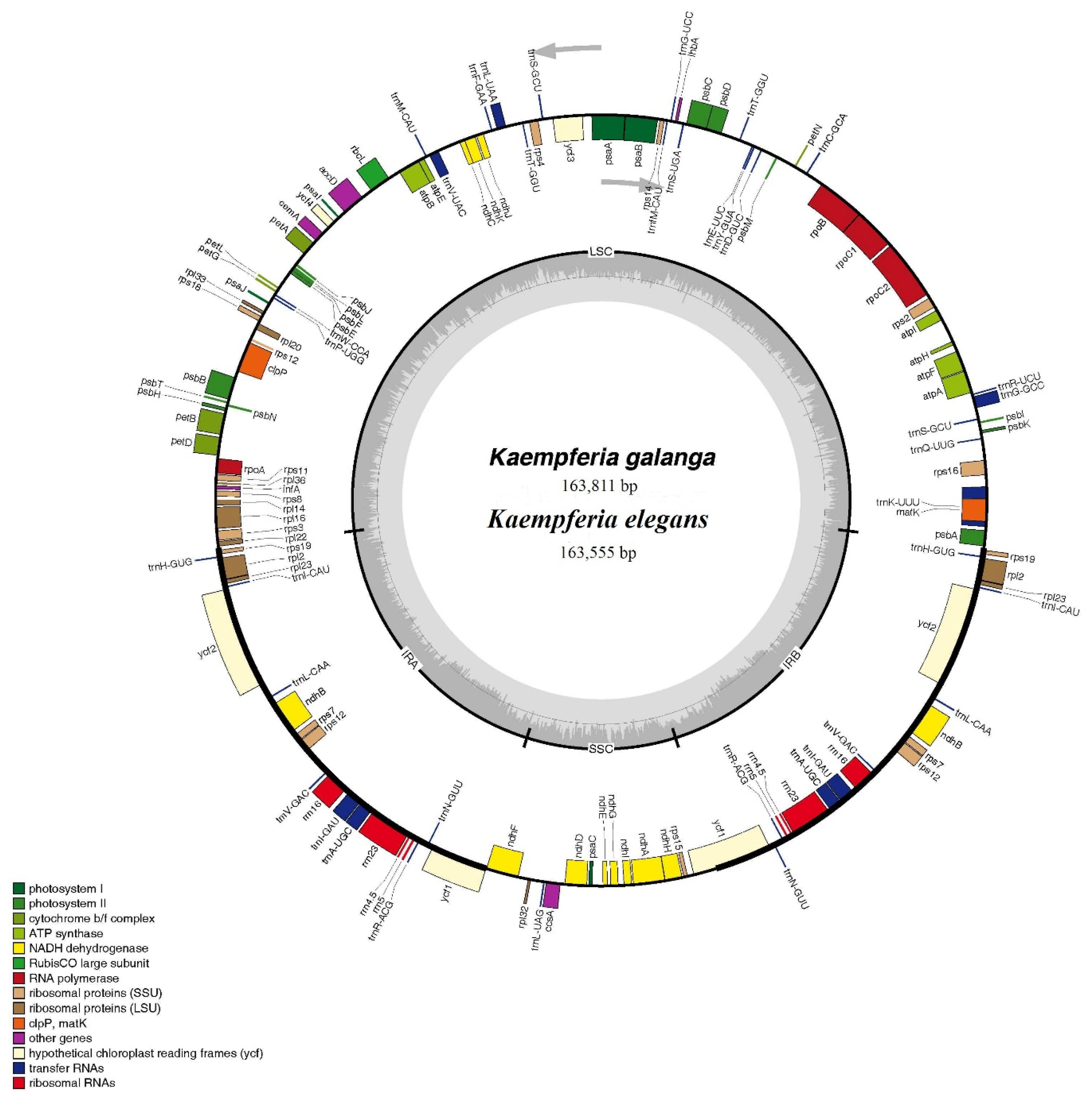 Molecules 24 00474 g001