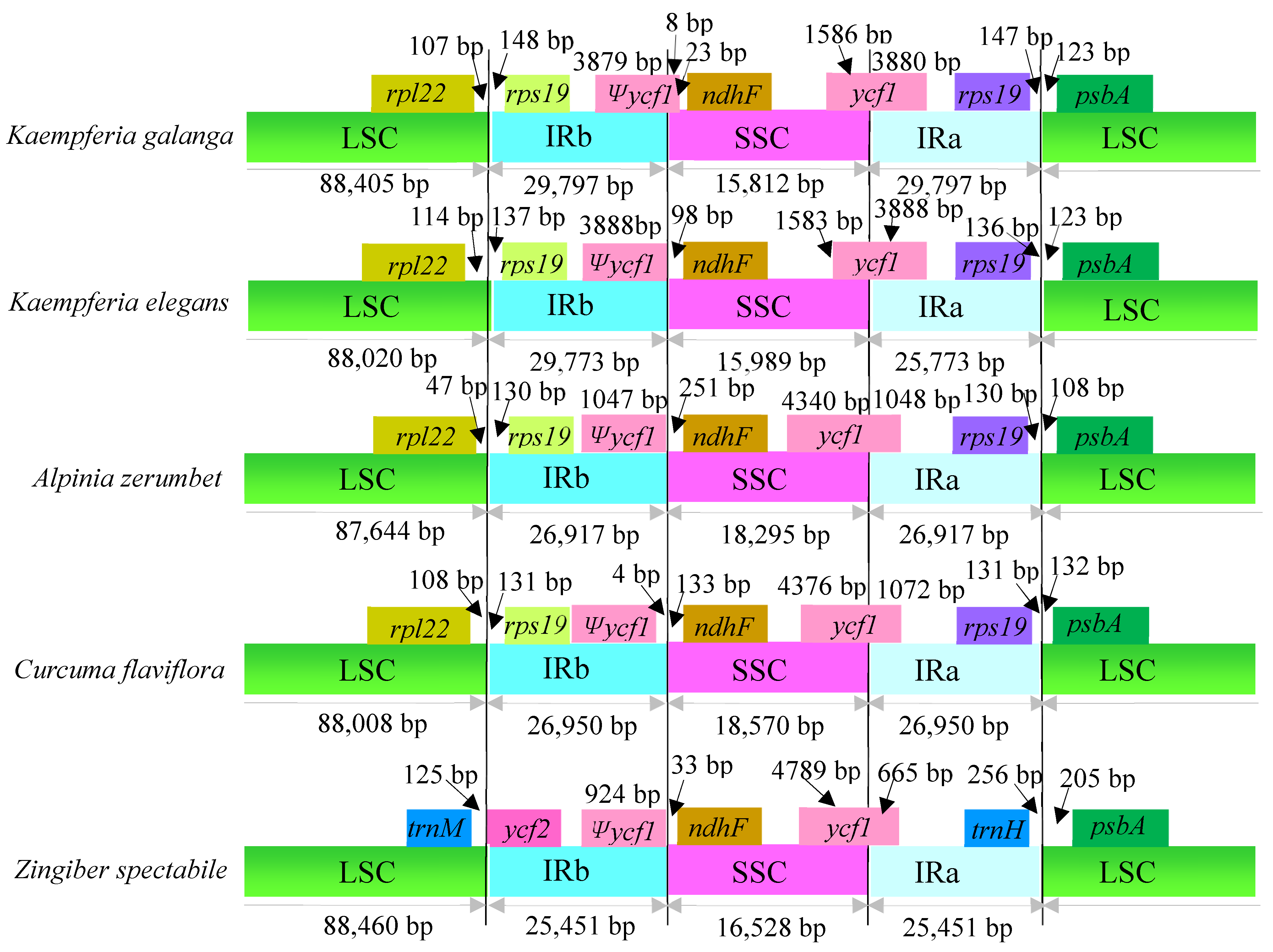 Molecules 24 00474 g005