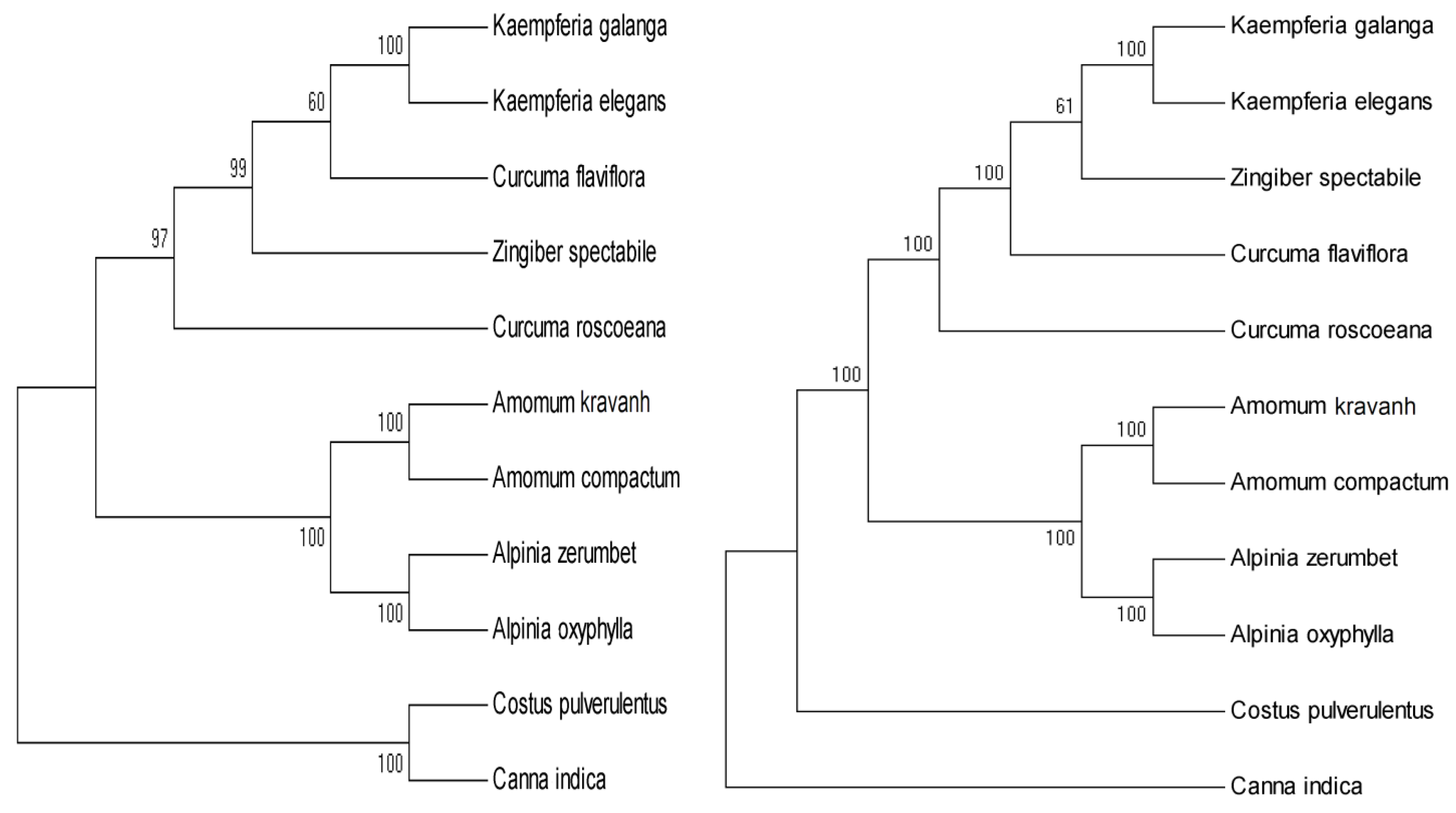 Molecules 24 00474 g008