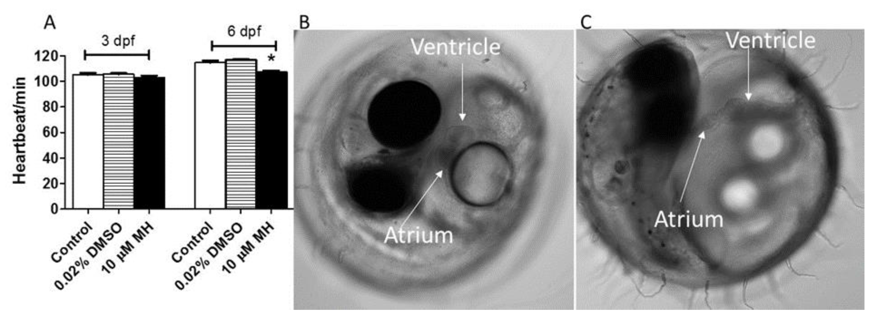 Molecules 24 00475 g004