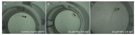 Molecules 24 00475 g0a1