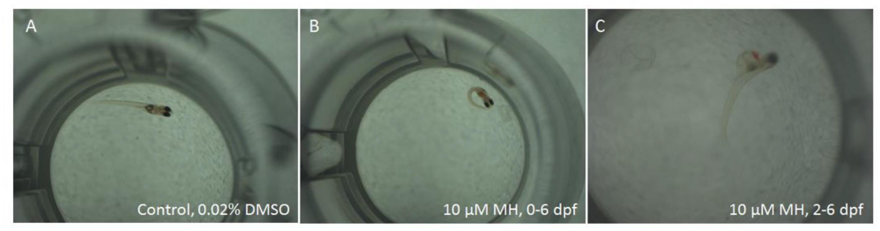 Molecules 24 00475 g0a1