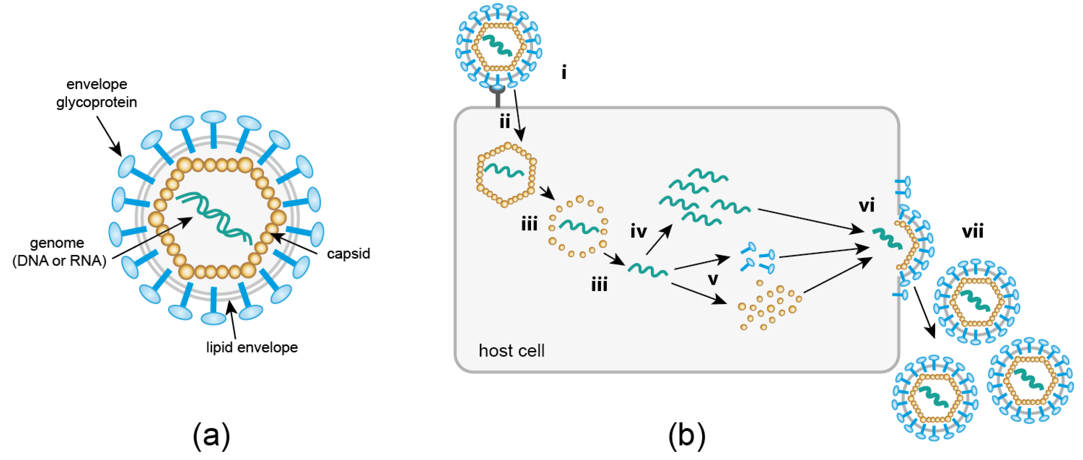 Molecules 24 00481 g001