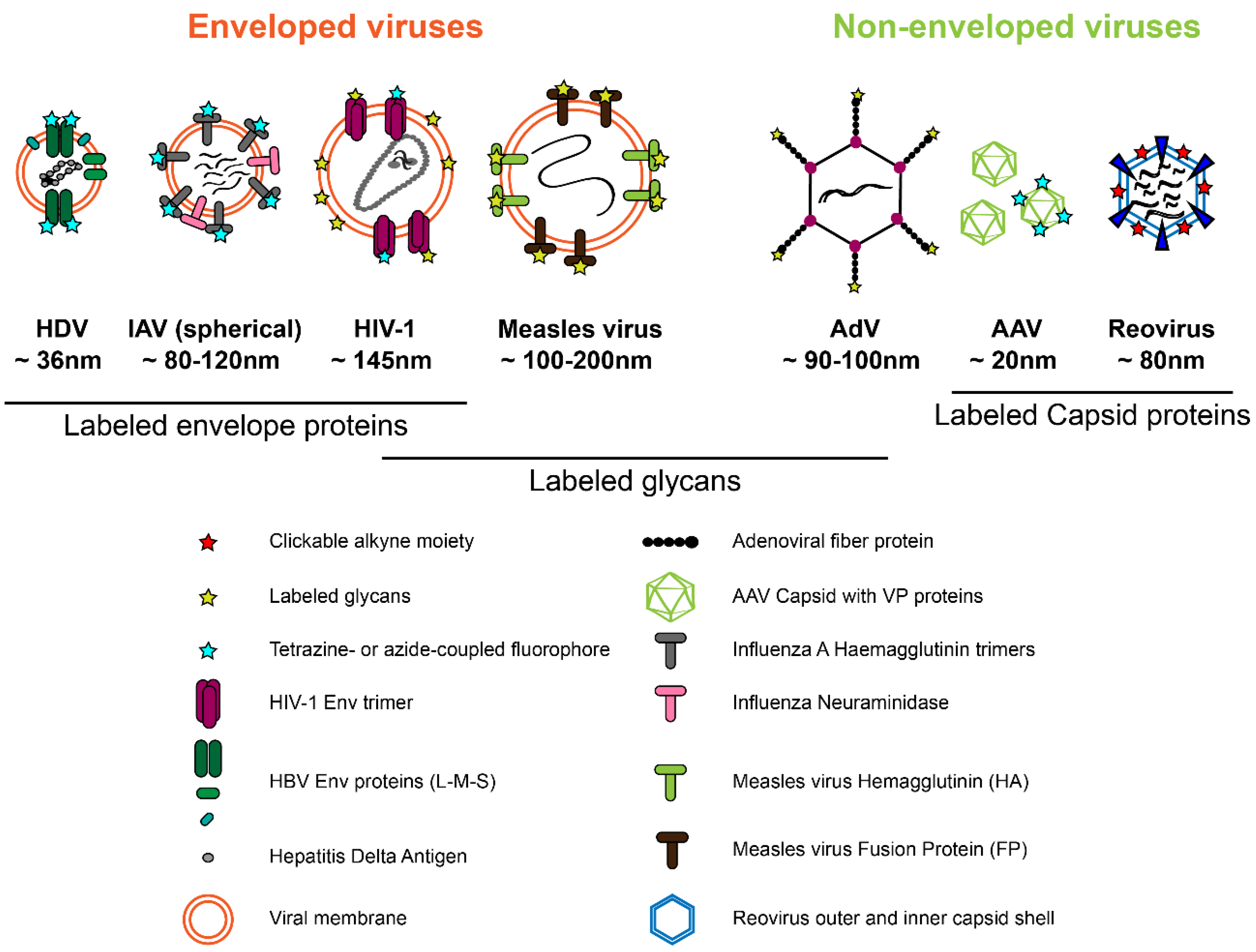 Molecules 24 00481 g002