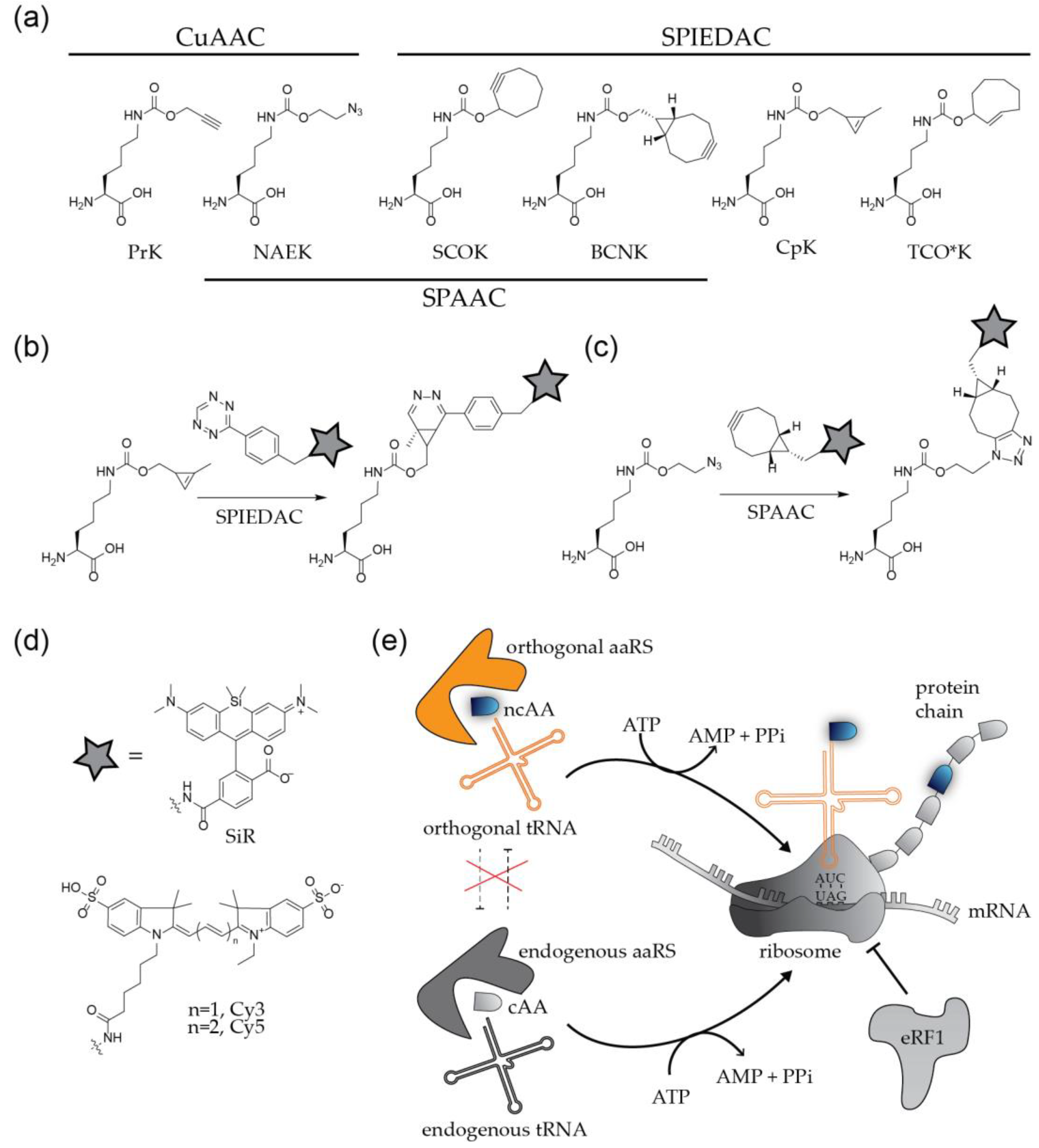 Molecules 24 00481 g003