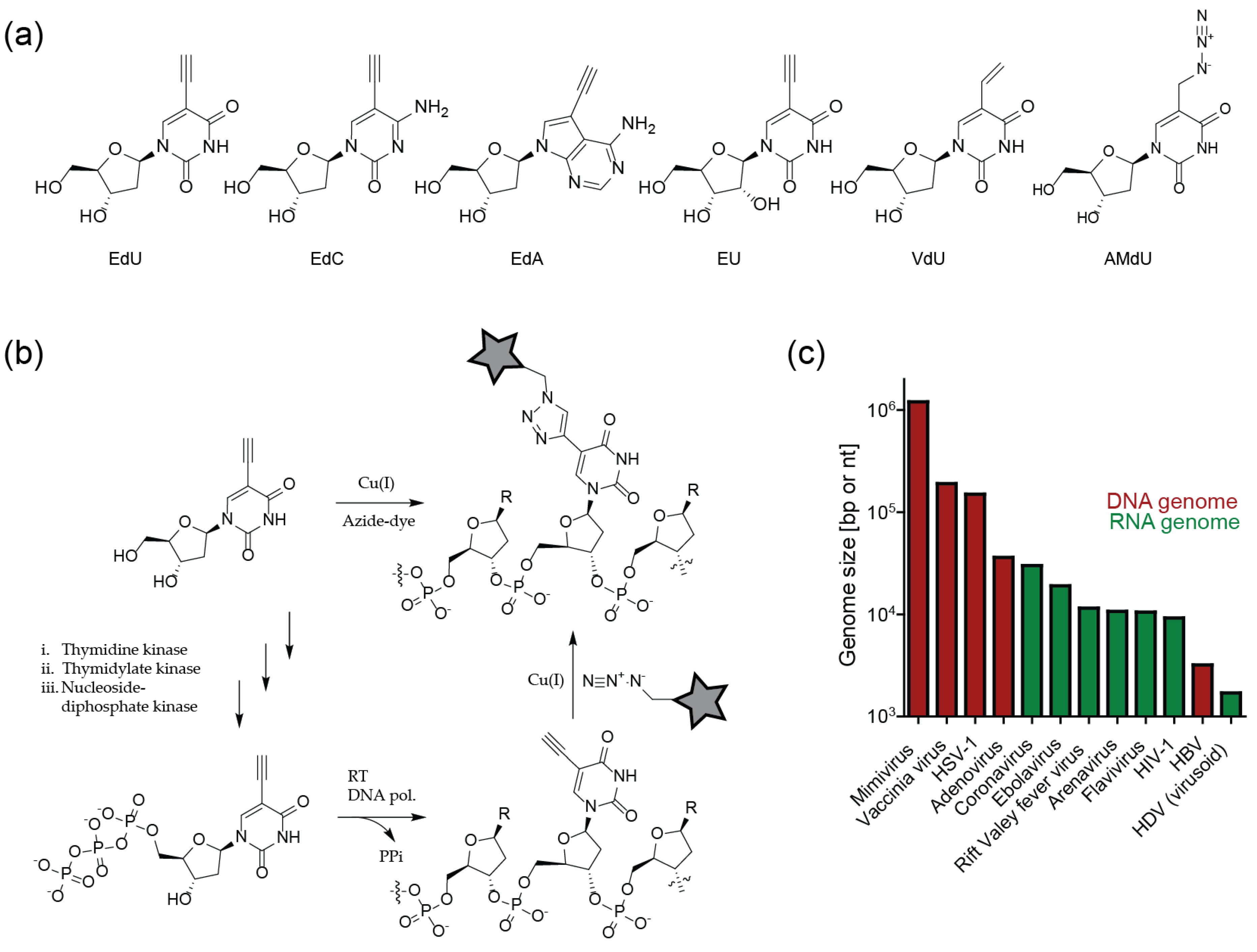 Molecules 24 00481 g005