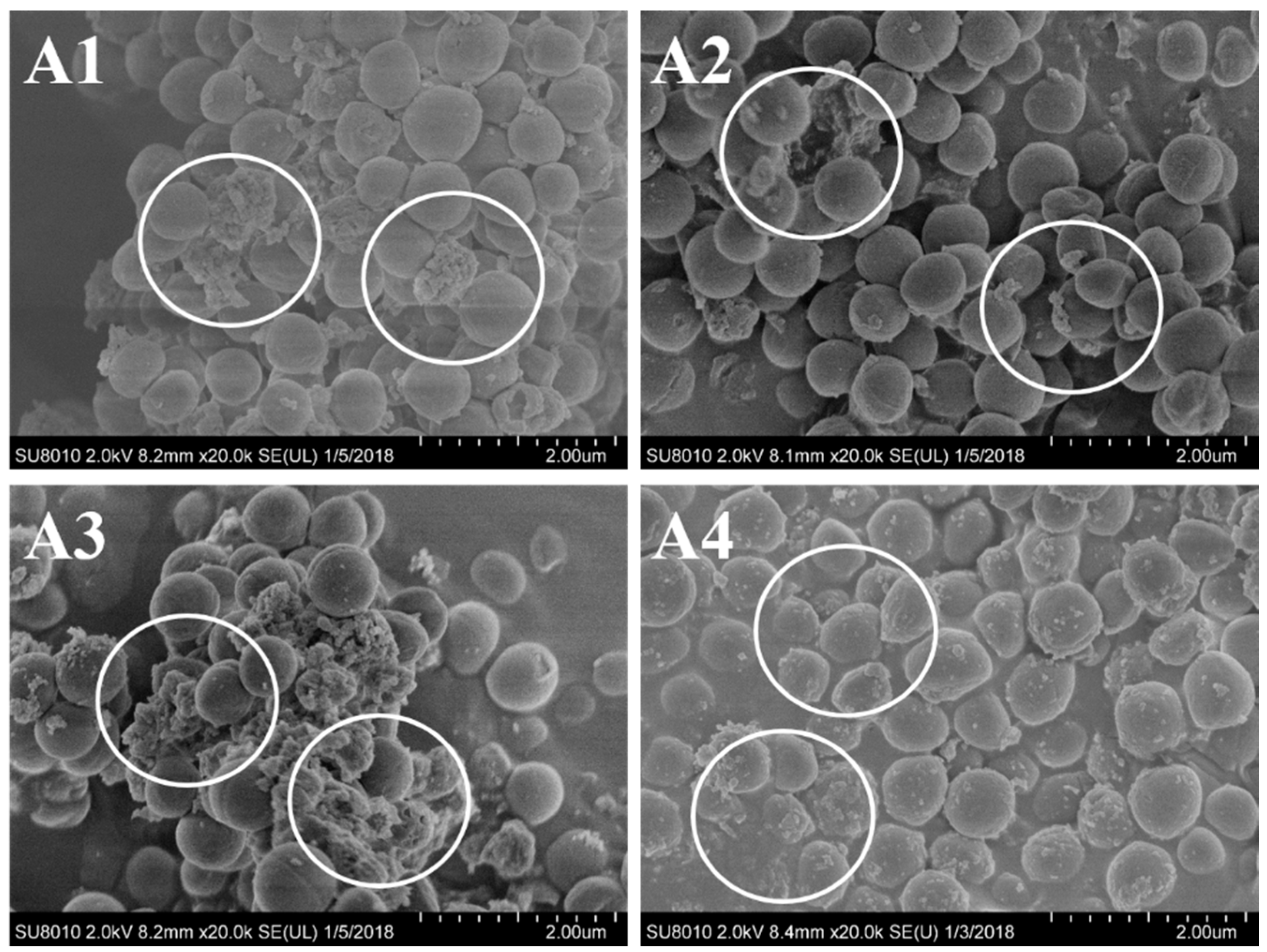 Molecules 24 00483 g004 Molecules 24 00483 g004