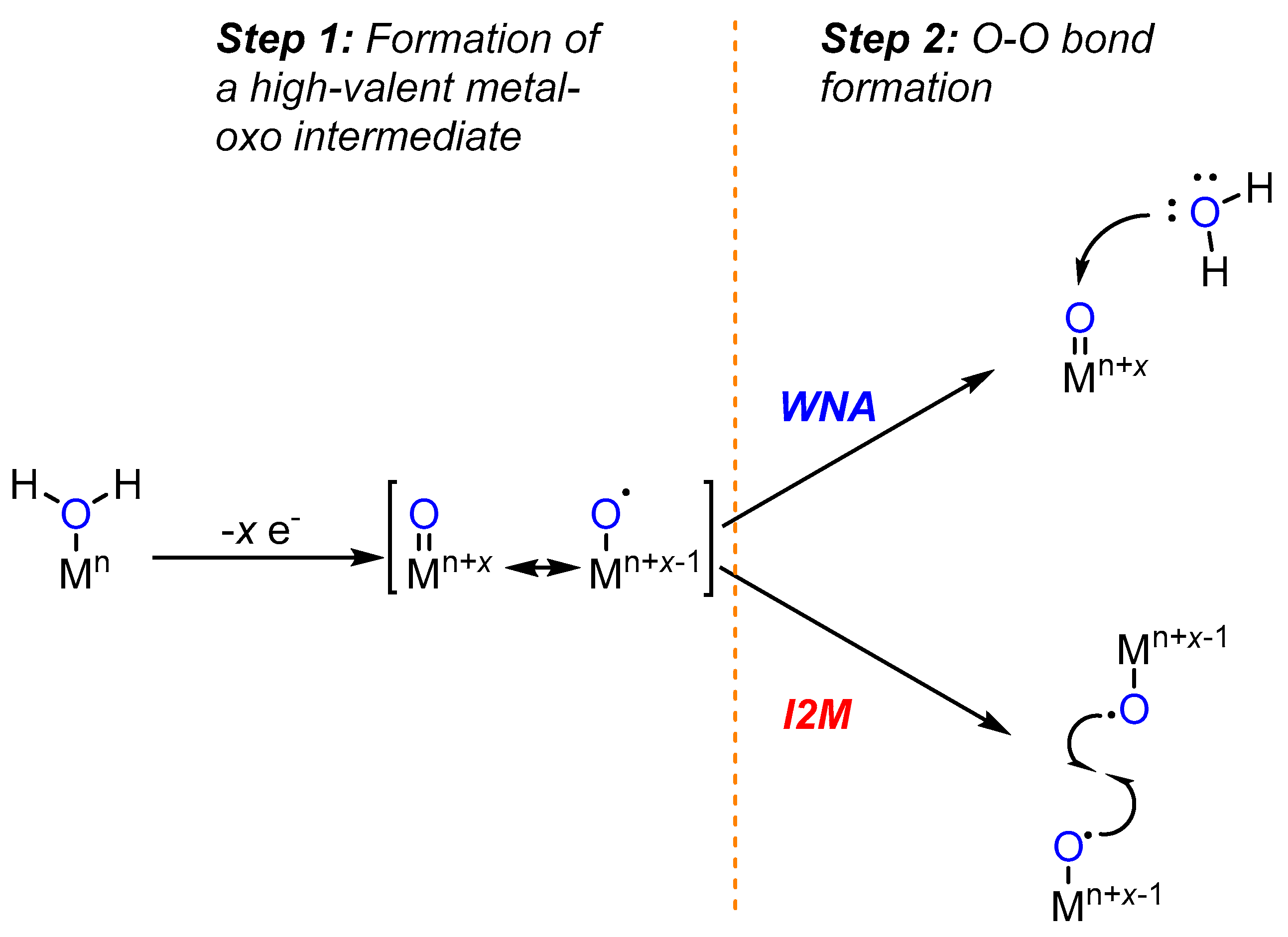 Molecules 24 00494 g001 Molecules 24 00494 g001