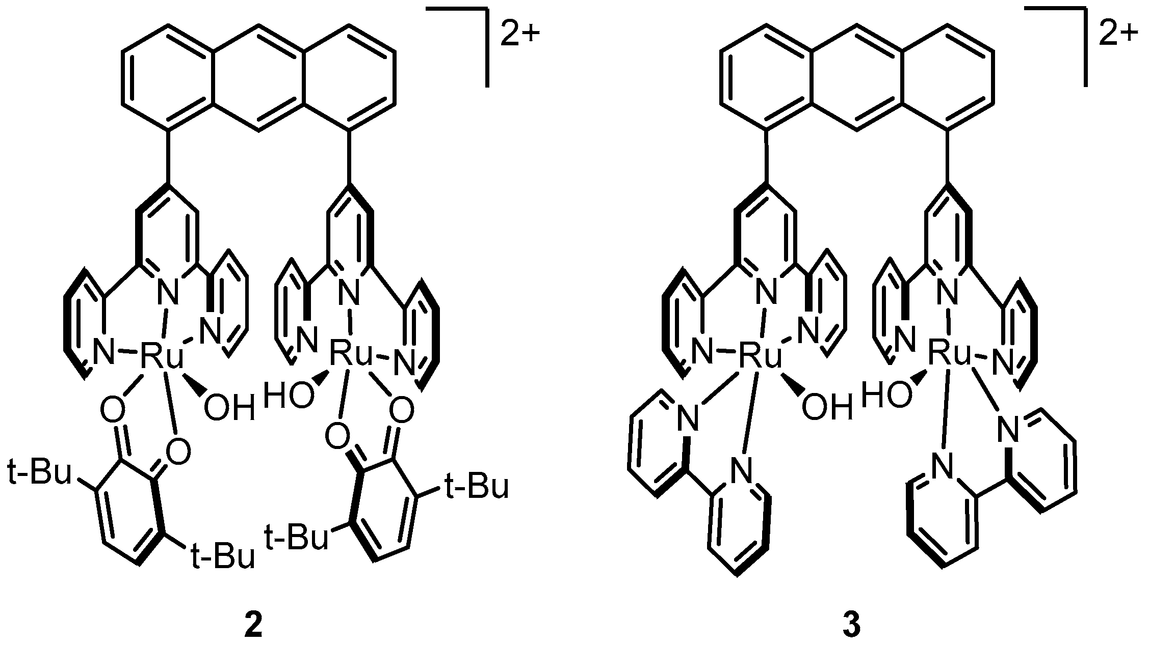 Molecules 24 00494 g004 Molecules 24 00494 g004