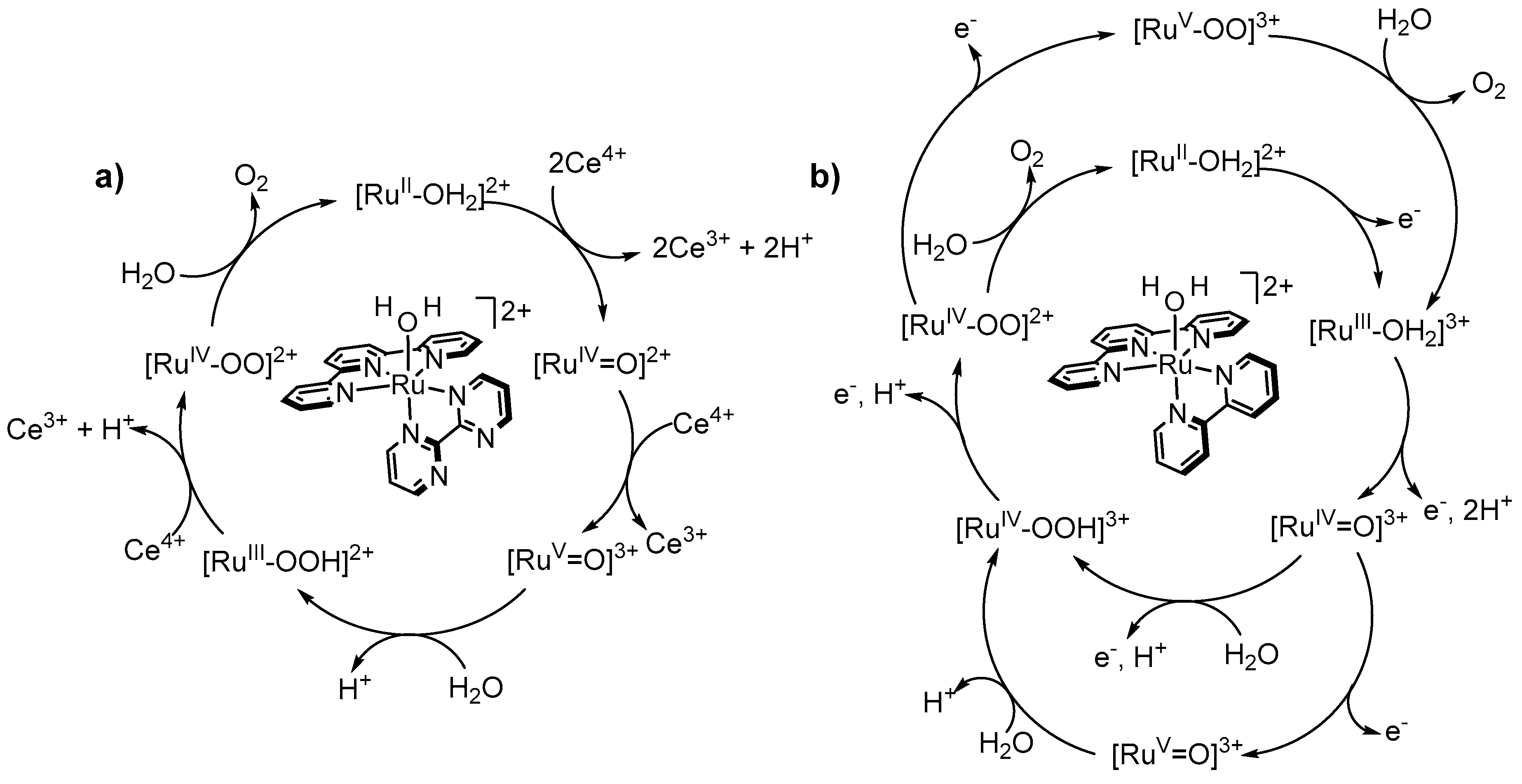 Molecules 24 00494 g009 Molecules 24 00494 g009