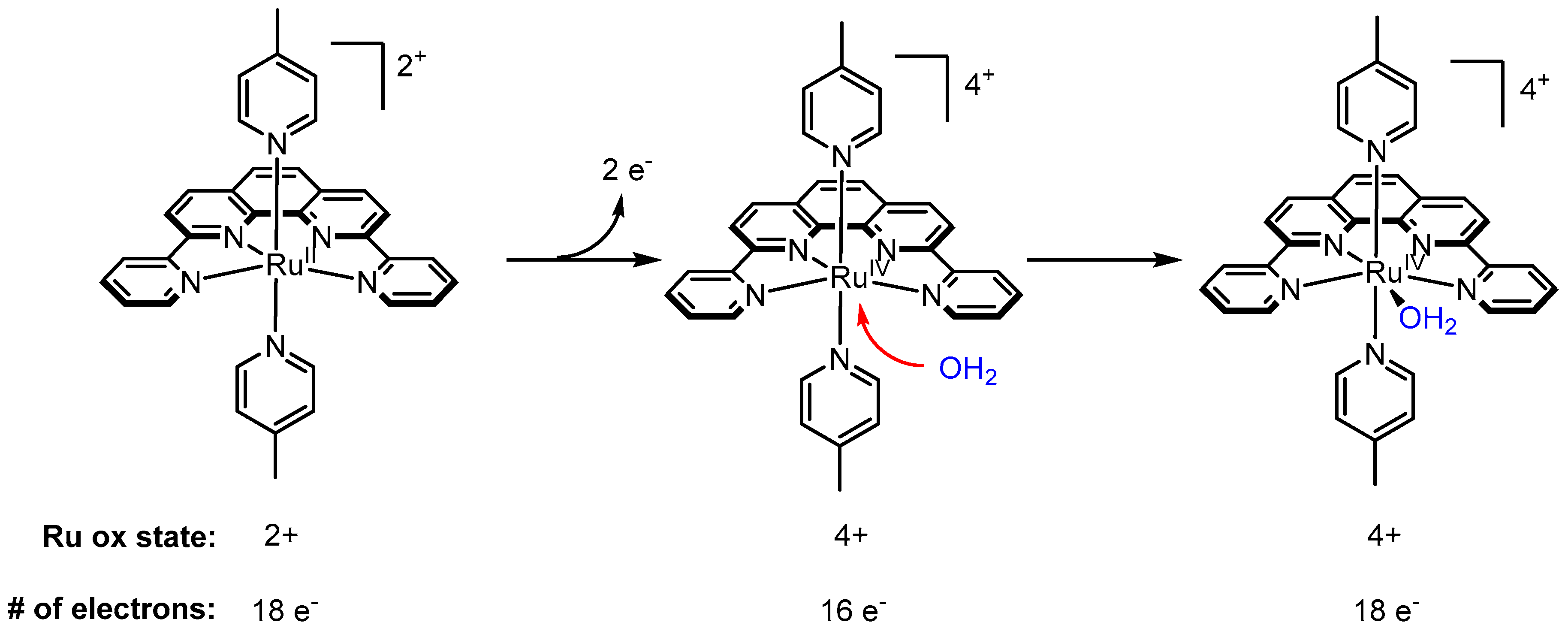 Molecules 24 00494 g011 Molecules 24 00494 g011
