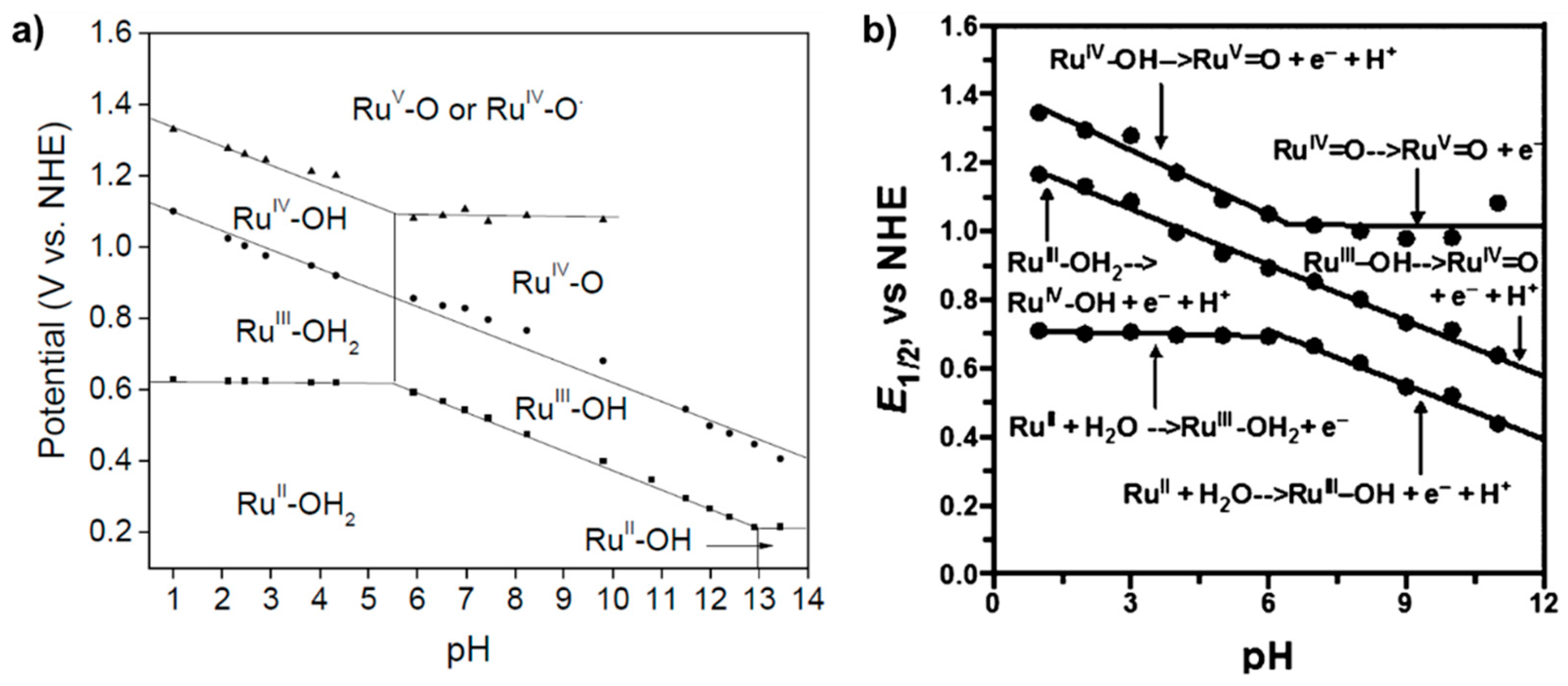 Molecules 24 00494 g015 Molecules 24 00494 g015