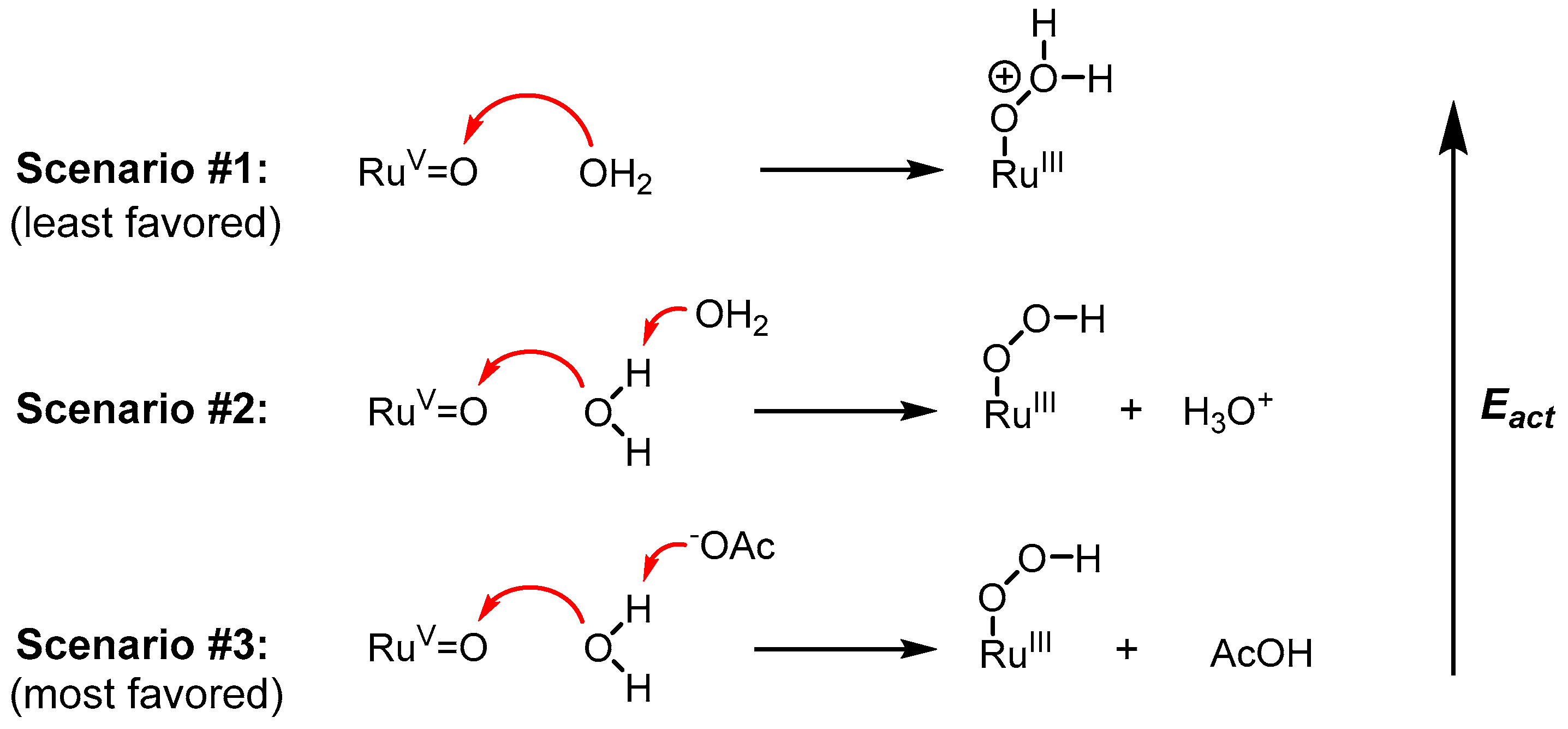 Molecules 24 00494 g017 Molecules 24 00494 g017