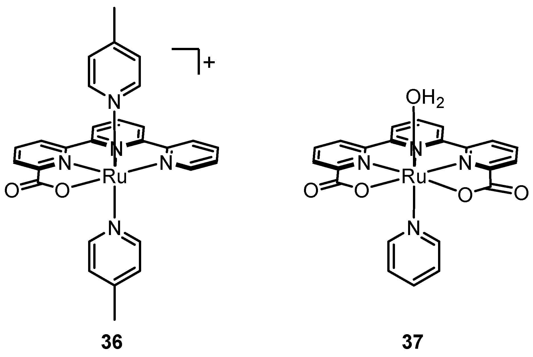 Molecules 24 00494 g019 Molecules 24 00494 g019