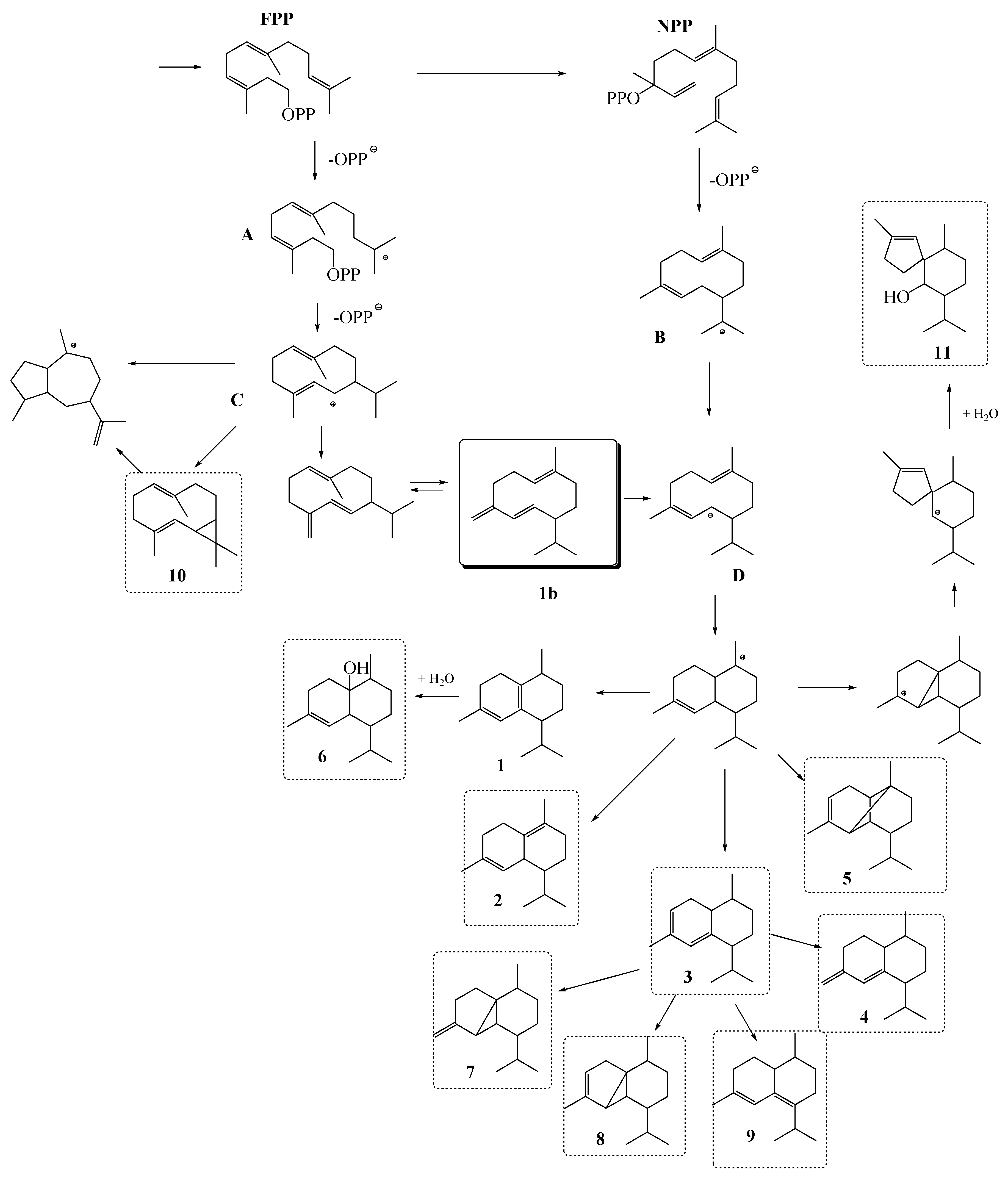 Molecules 24 00495 g001