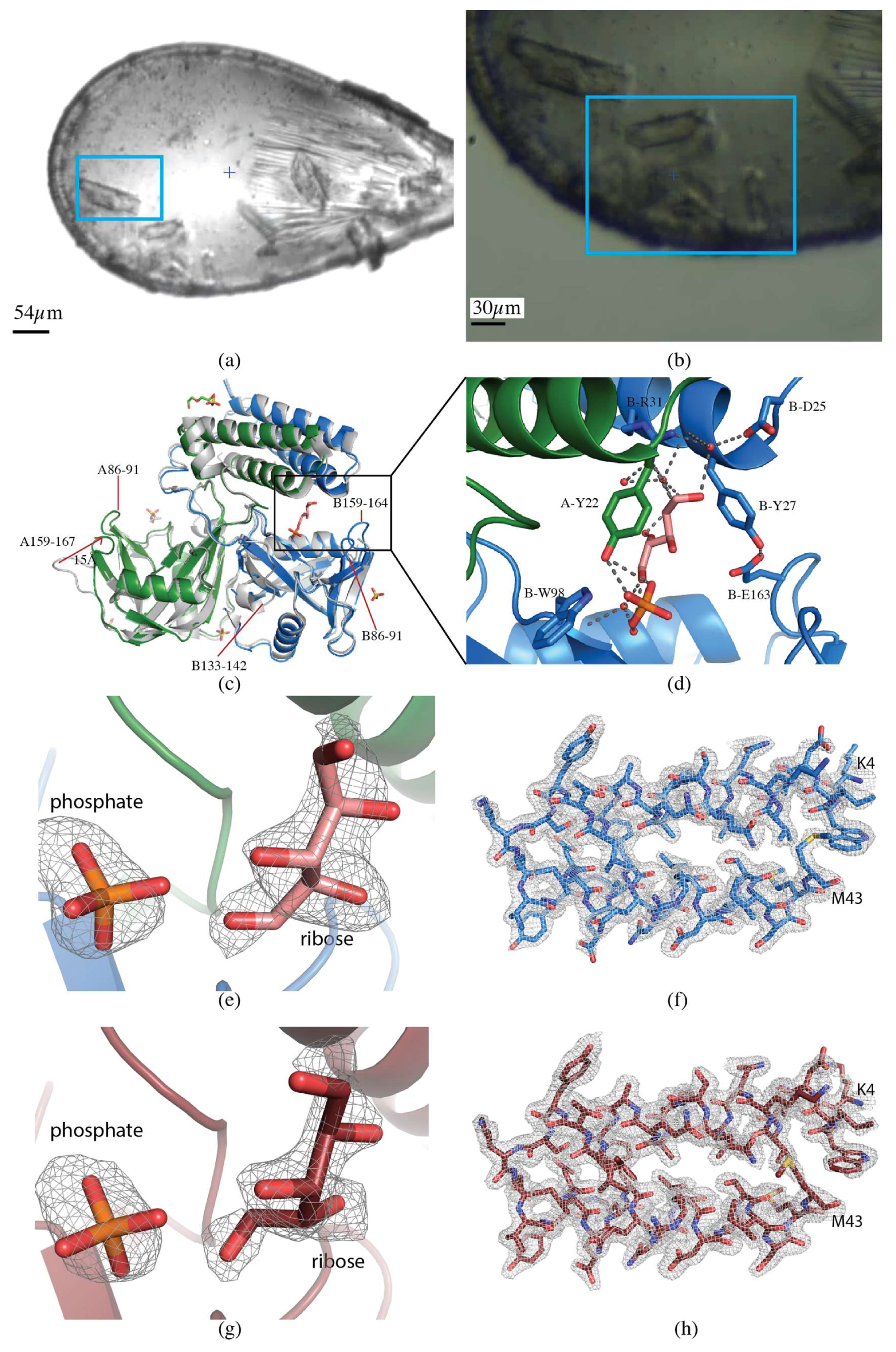 Molecules 24 00496 g003