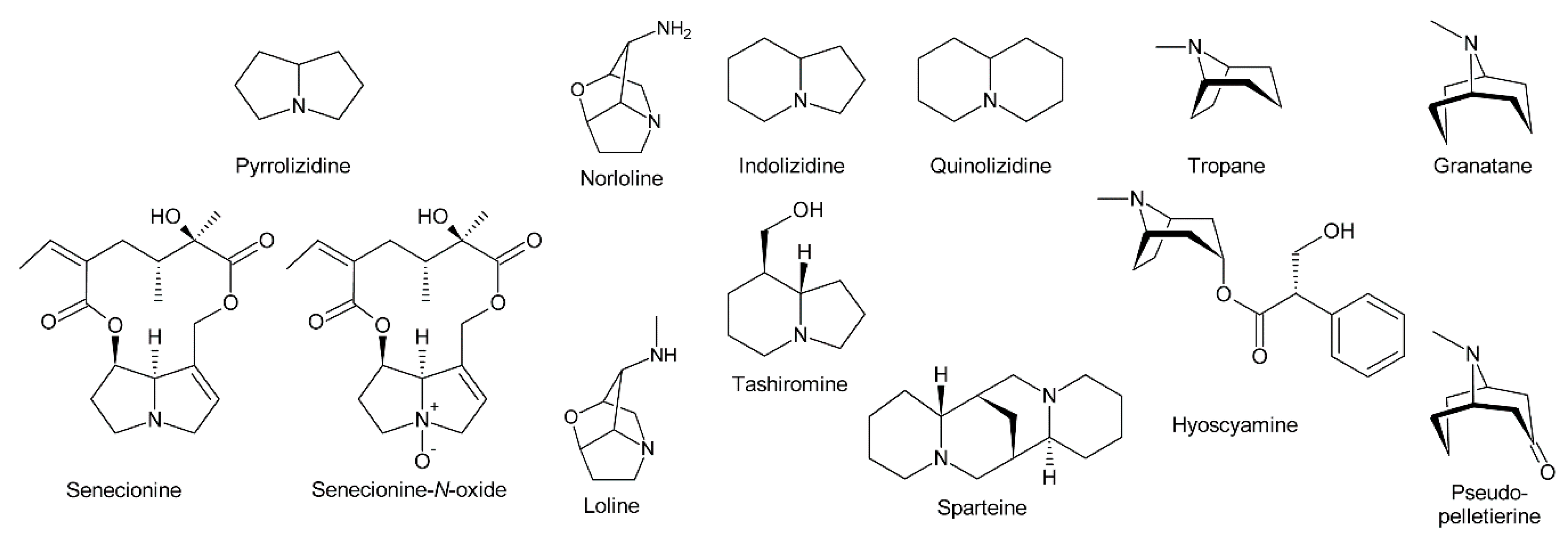 Molecules 24 00498 g001