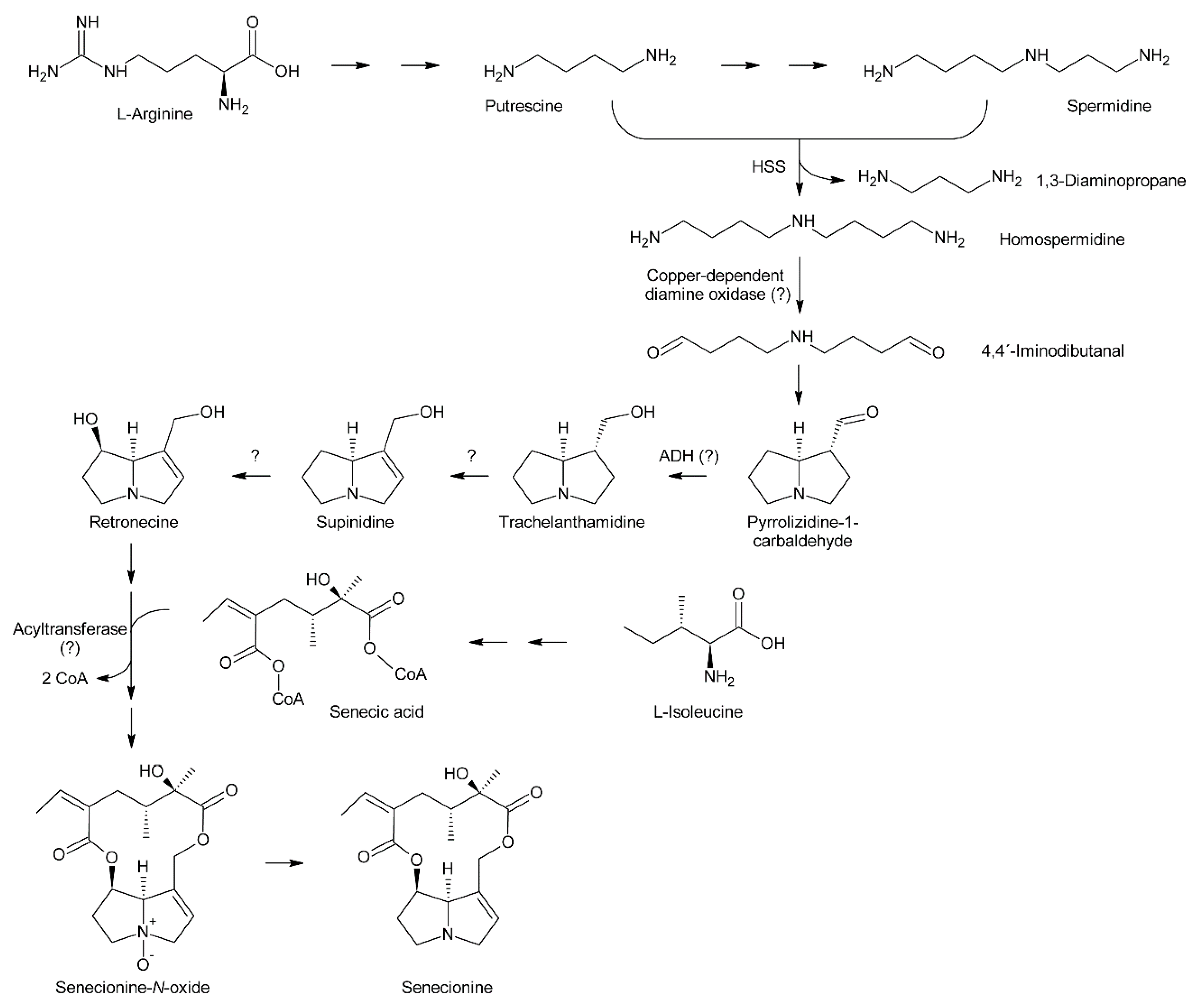 Molecules 24 00498 g006
