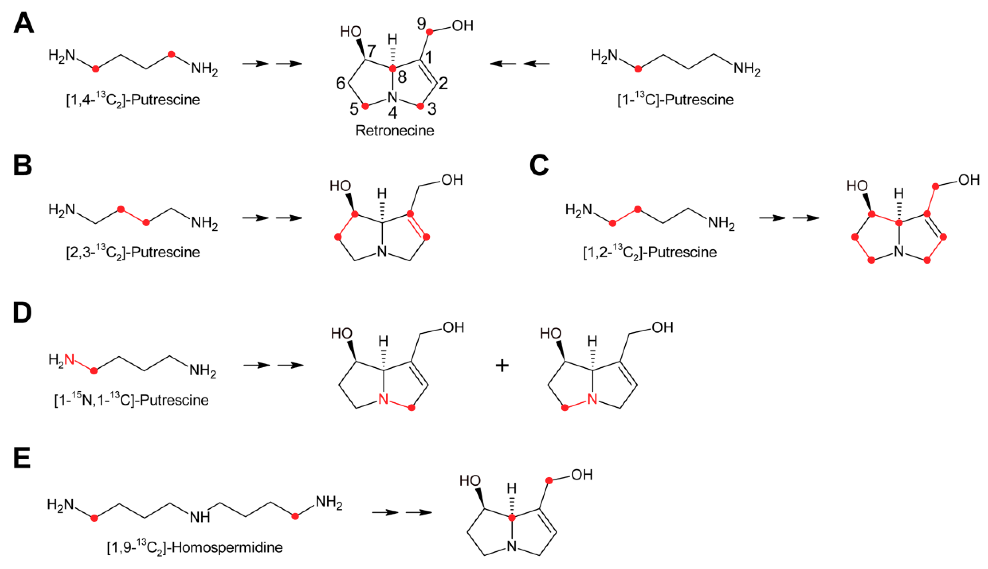Molecules 24 00498 g007