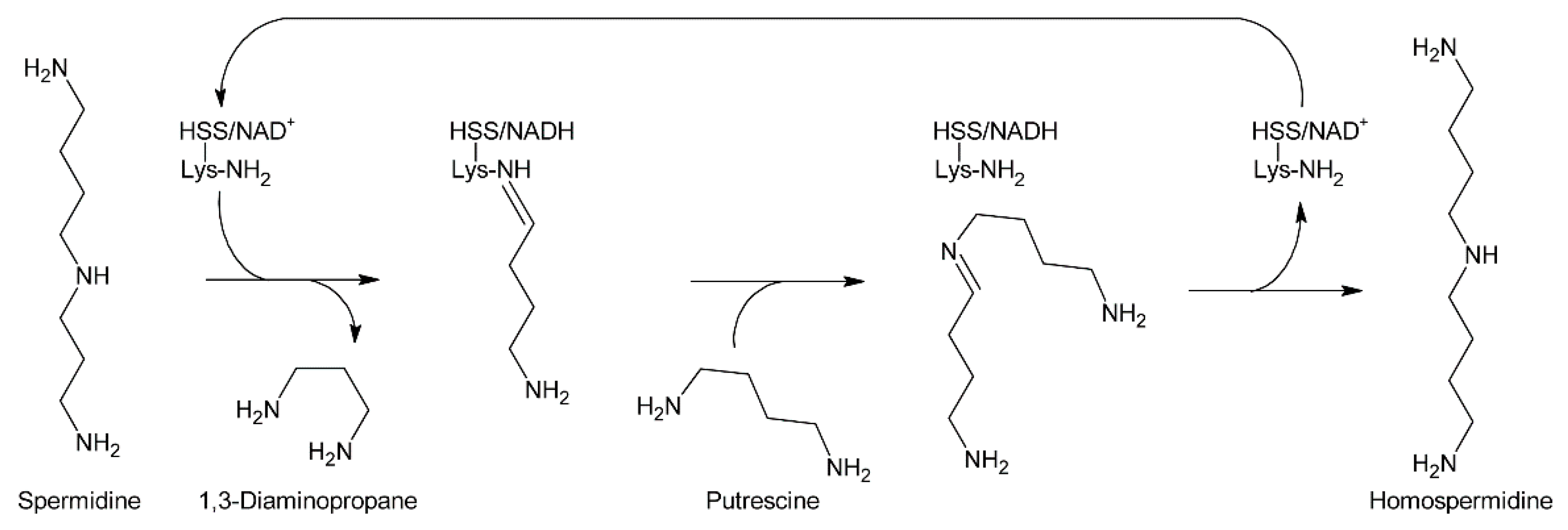 Molecules 24 00498 g008
