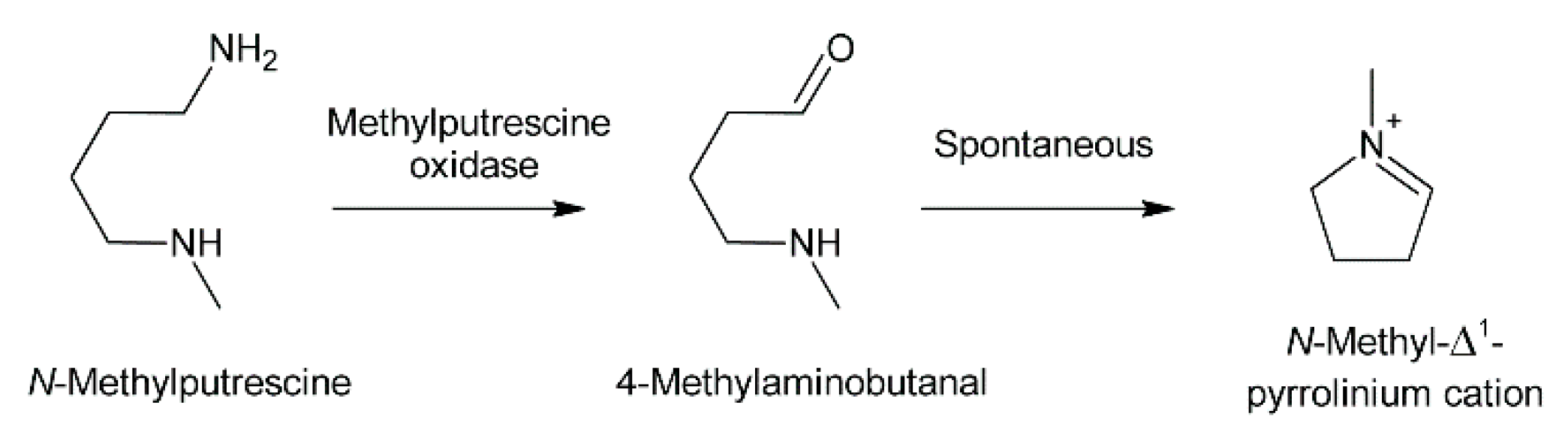 Molecules 24 00498 g009