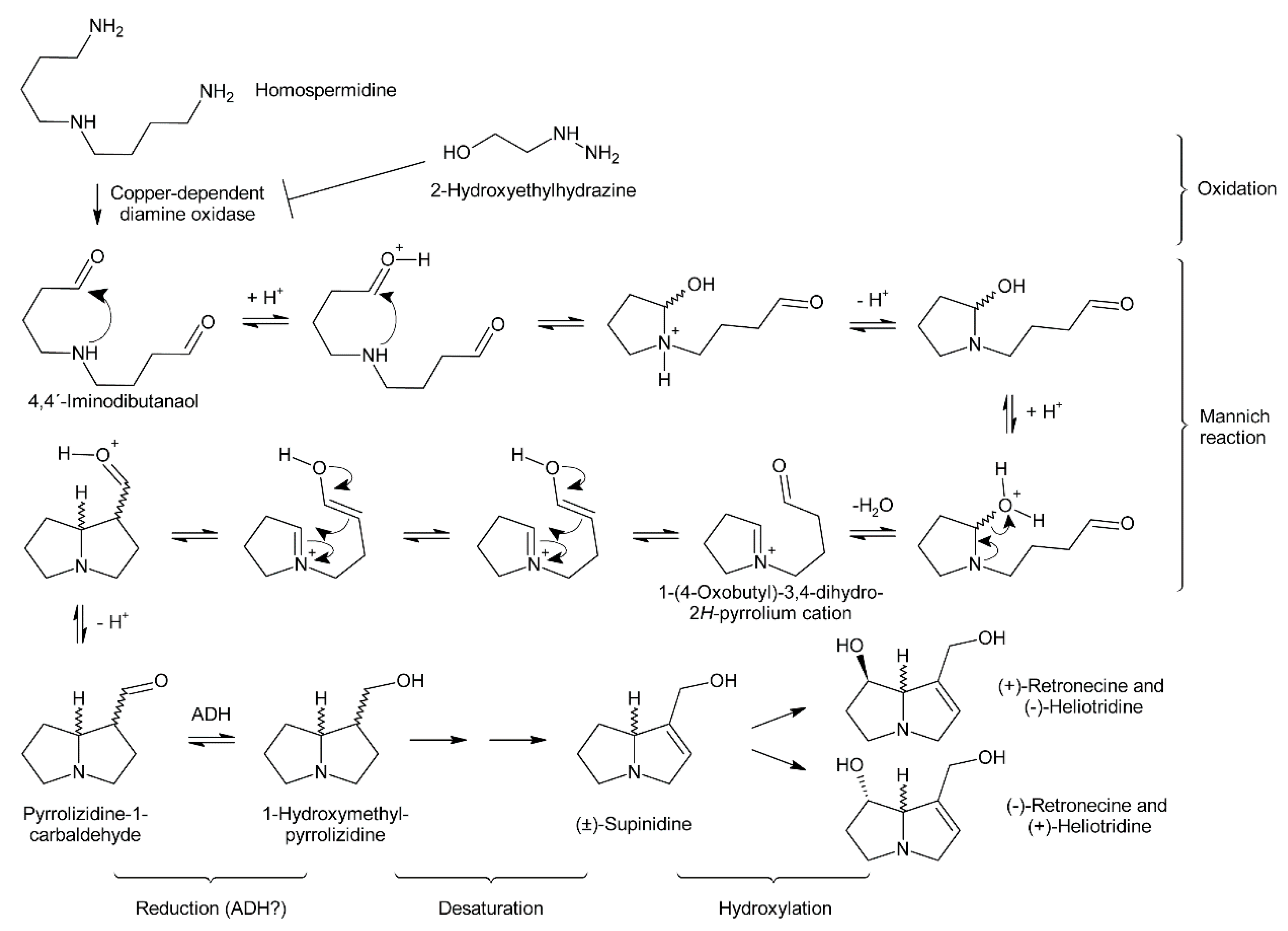 Molecules 24 00498 g010