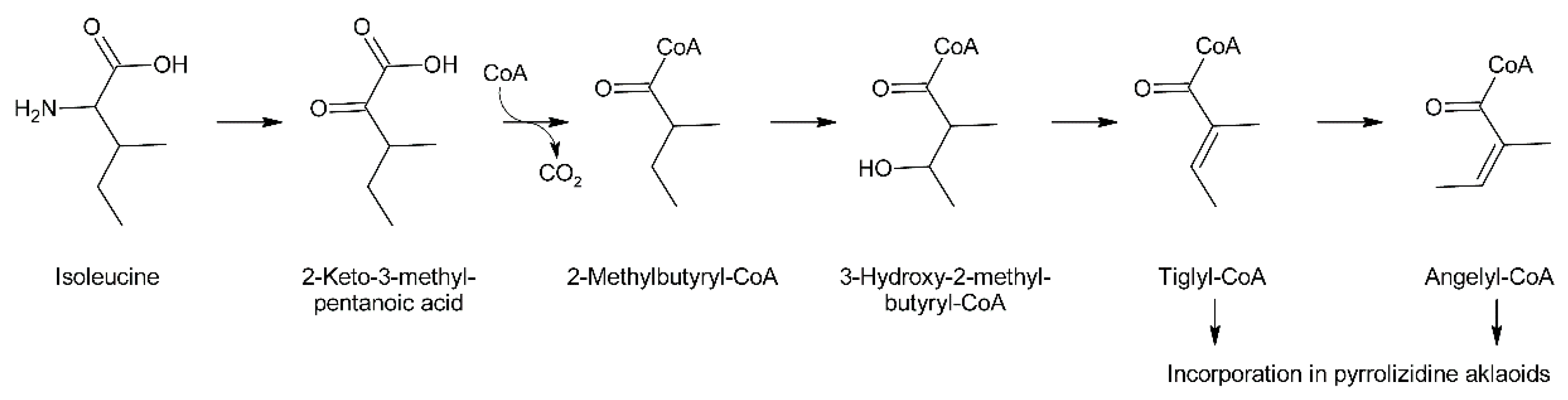 Molecules 24 00498 g011